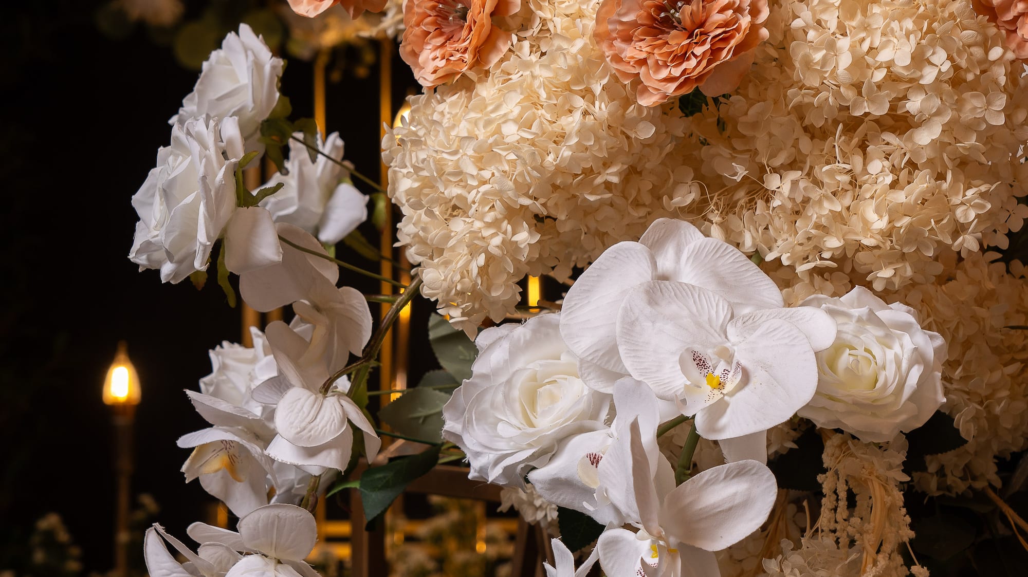 a group of flowers in a room