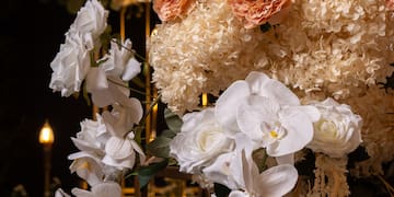 a group of flowers in a room