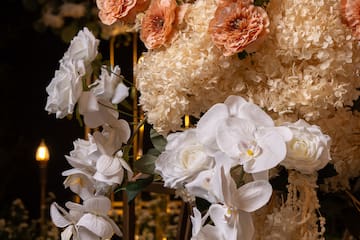 a group of flowers in a room