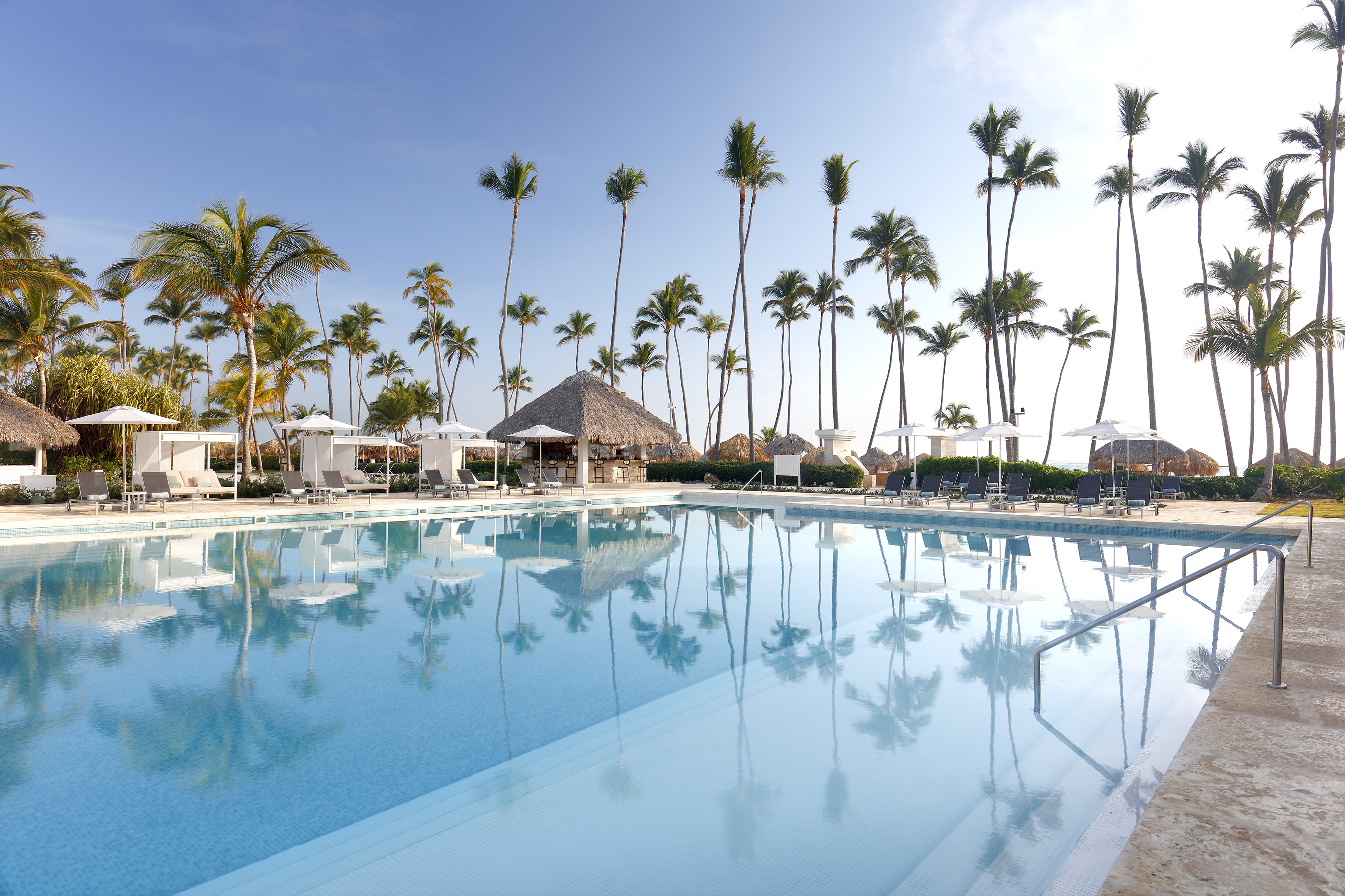a pool with palm trees and umbrellas