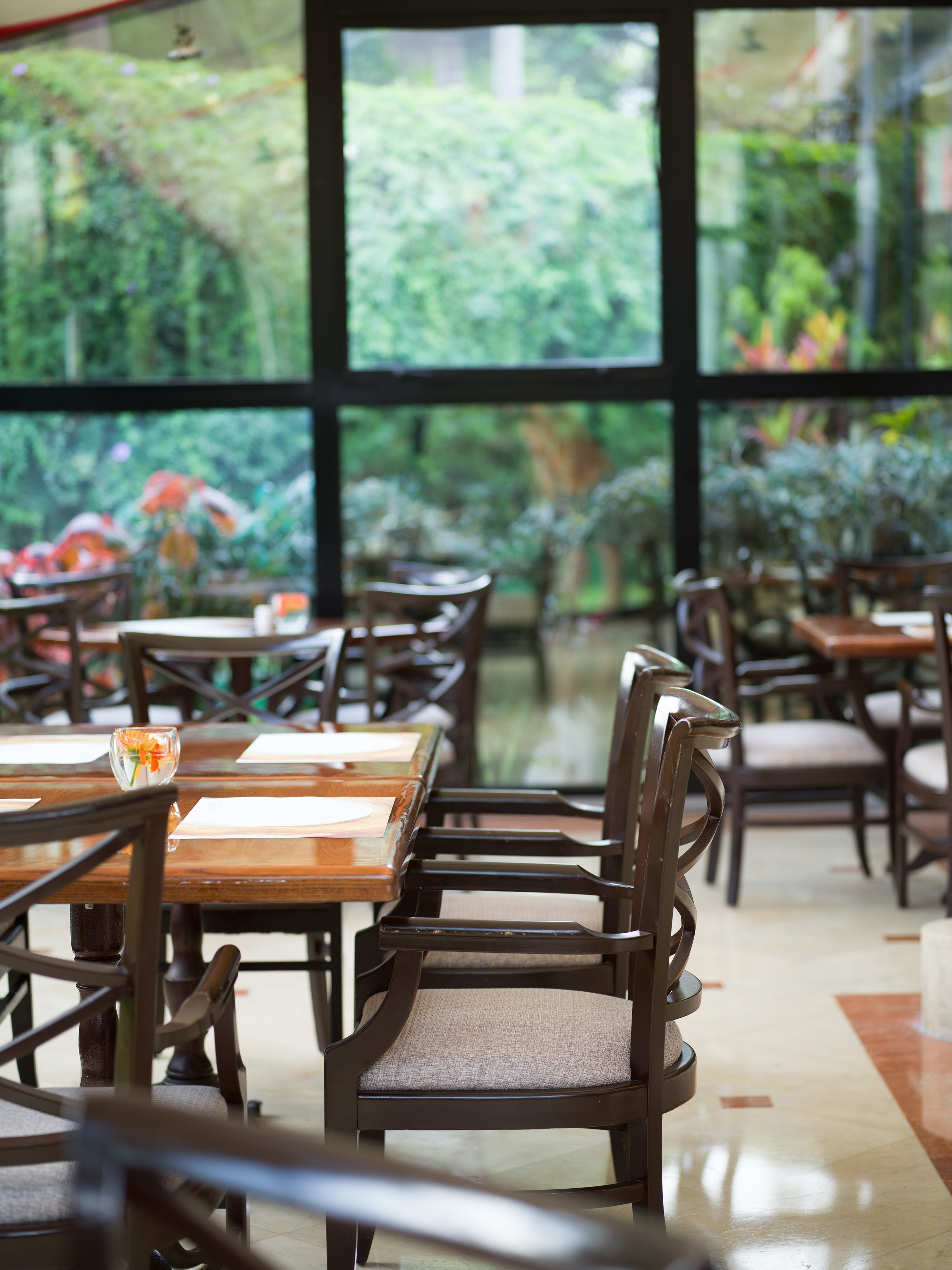 Restaurant dining area with wooden tables, chairs, and lush garden view.