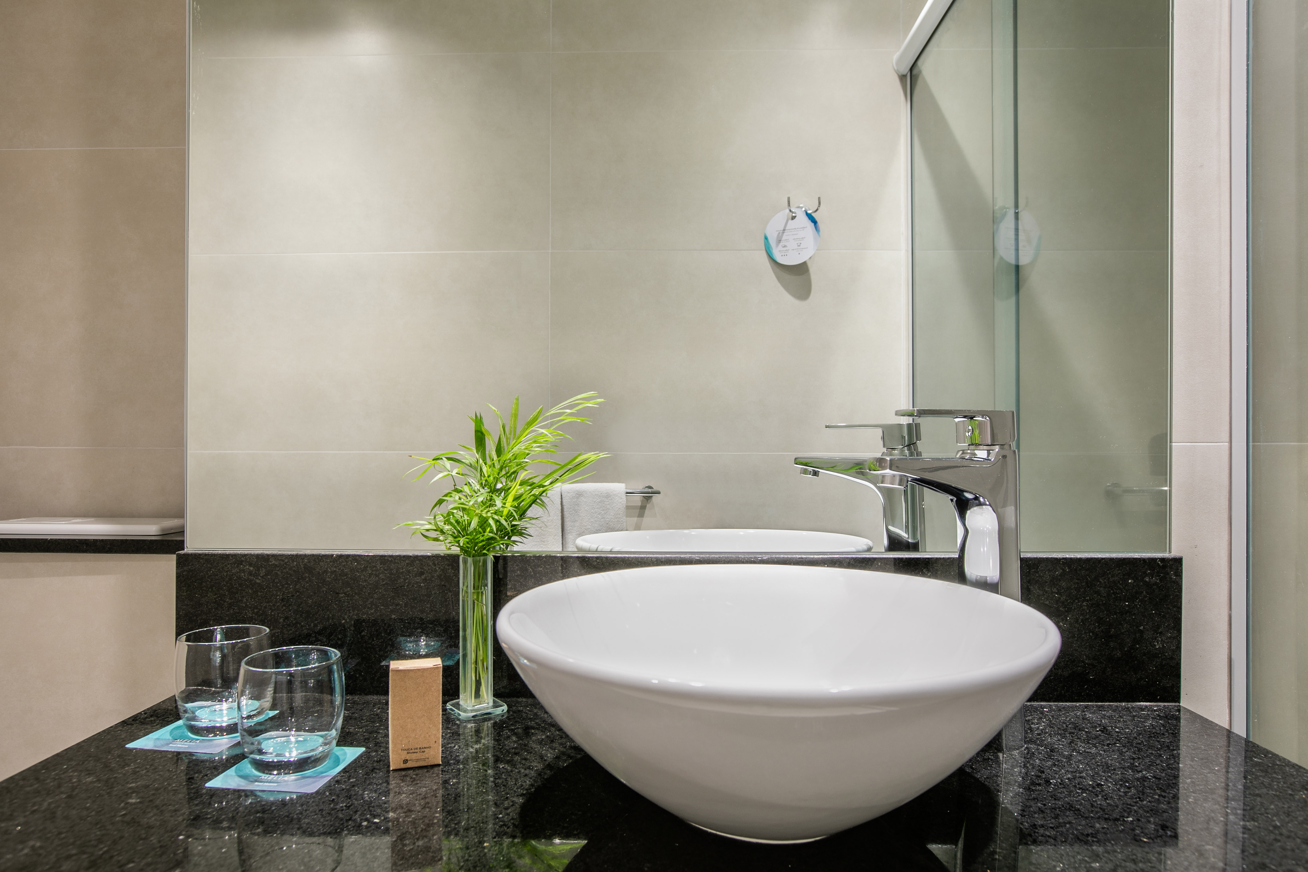Modern hotel bathroom vanity with vessel sink, chrome faucet, black granite, and plant.