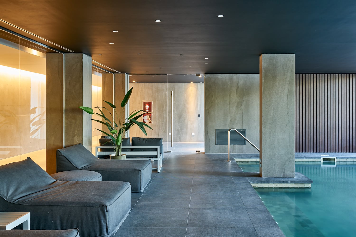 a pool with couches and a plant