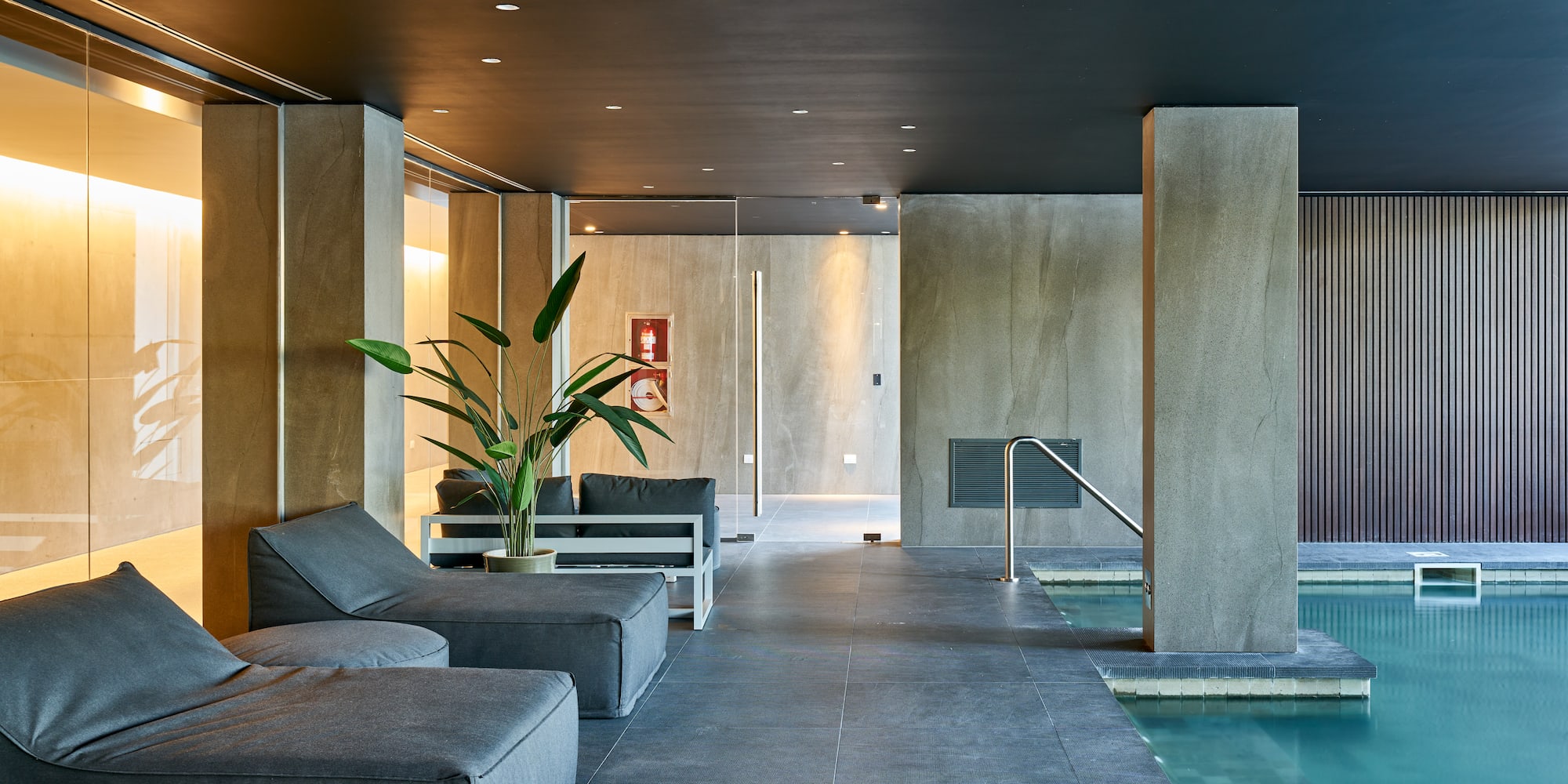 a pool with couches and a plant