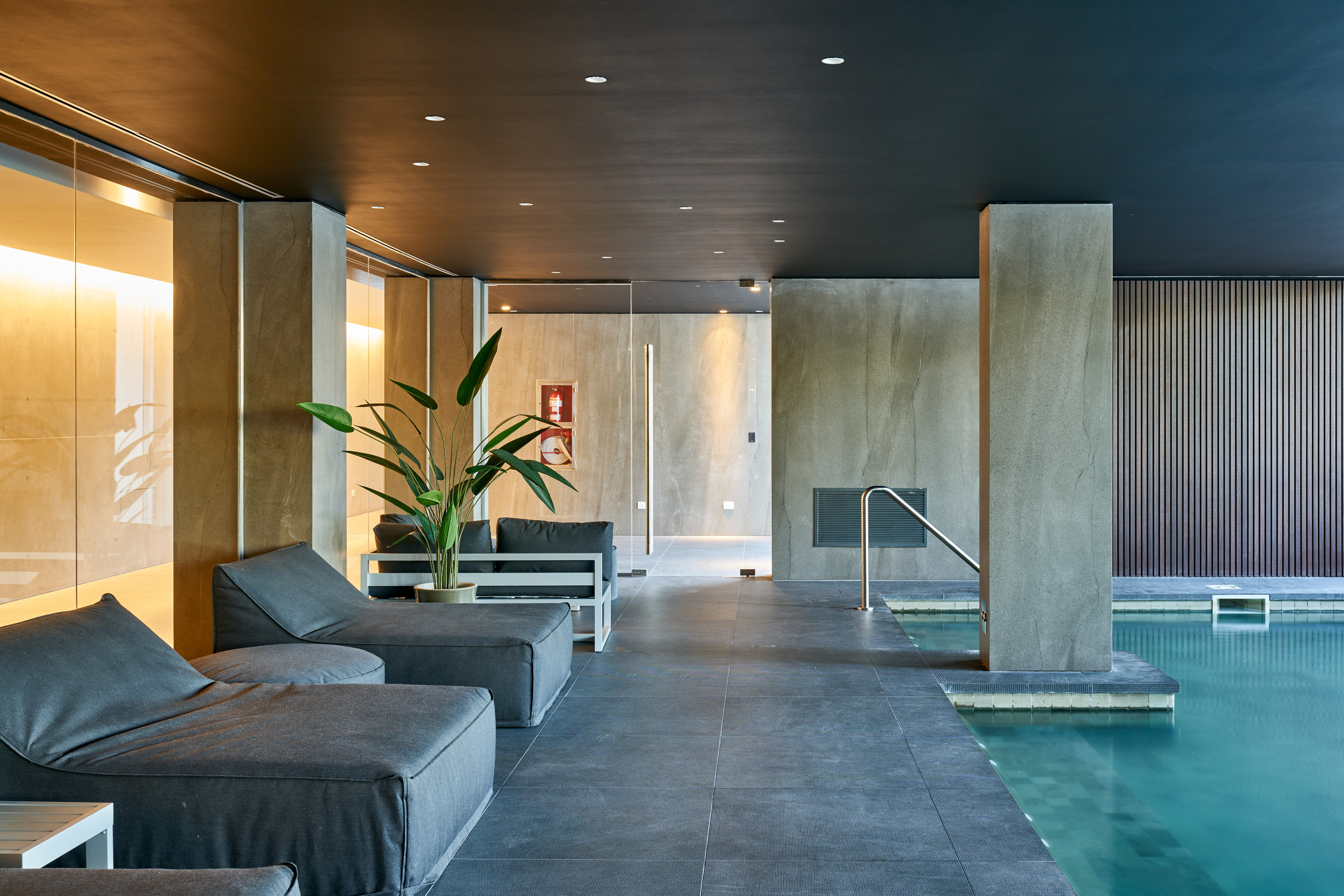 Modern indoor pool lounge with gray seating, concrete walls, and green plant.