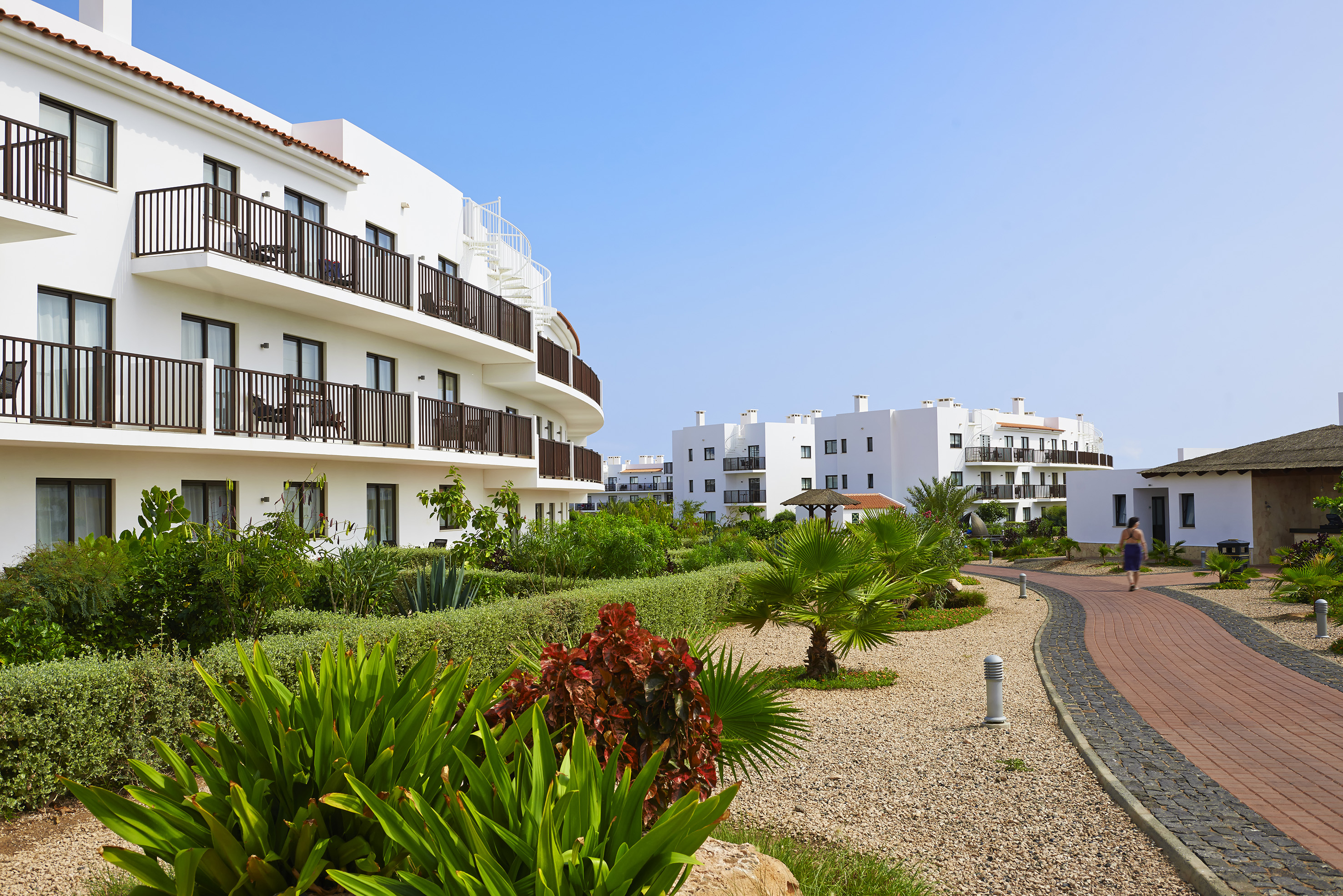 a white building with green plants and bushes