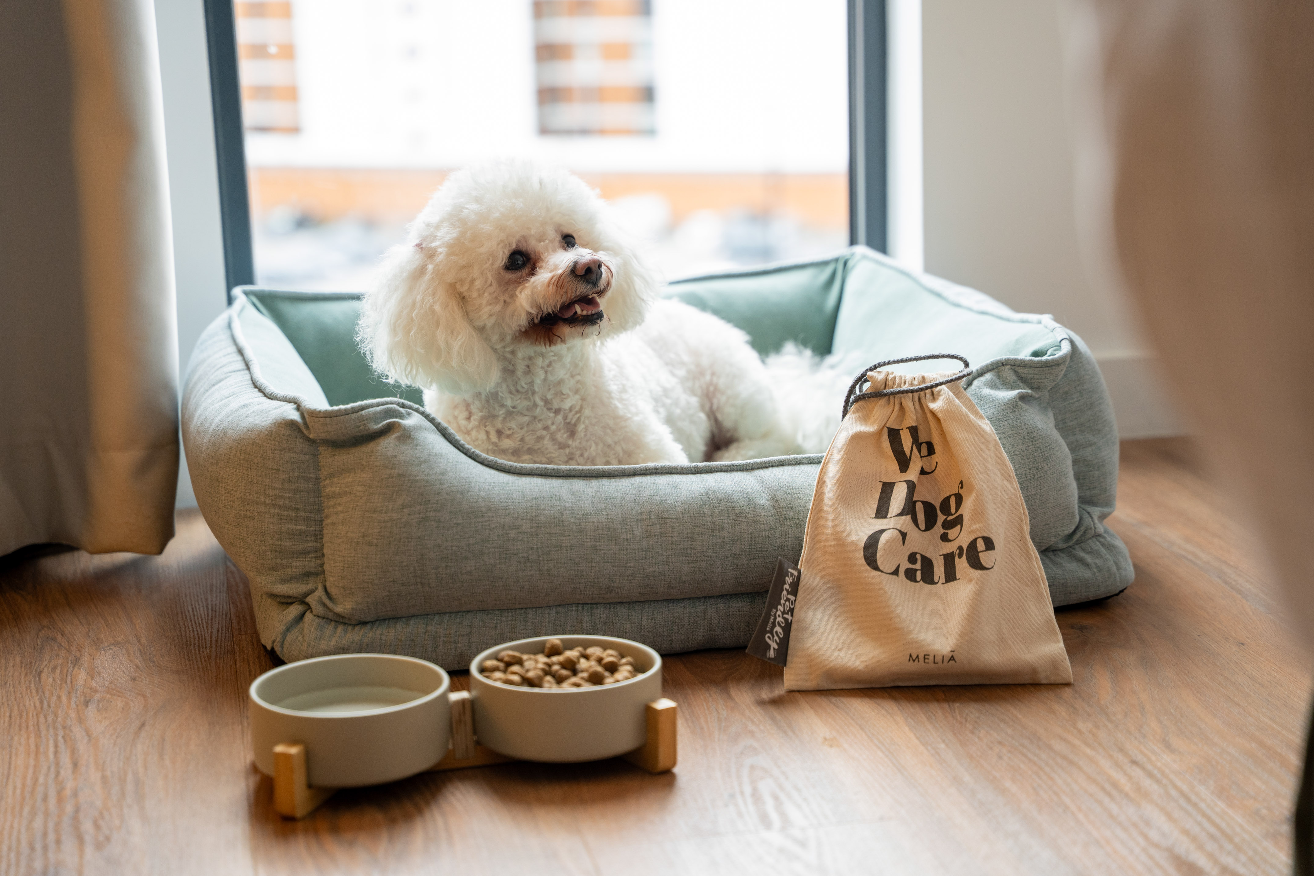 White dog in dog bed, food & water bowls, Melia pet care kit. Pet-friendly.