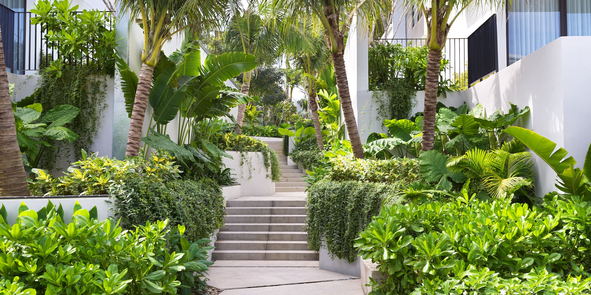 a staircase leading to a building