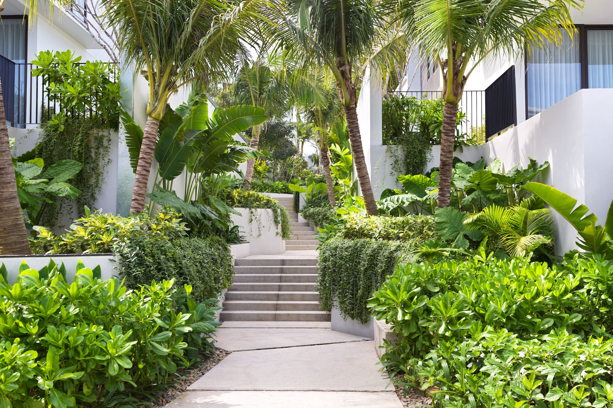 Lush tropical resort garden with palm trees, vibrant plants, and concrete stairs.