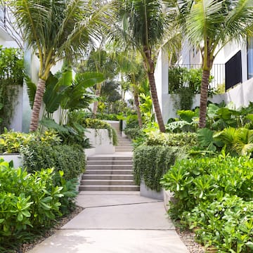 a staircase leading to a building