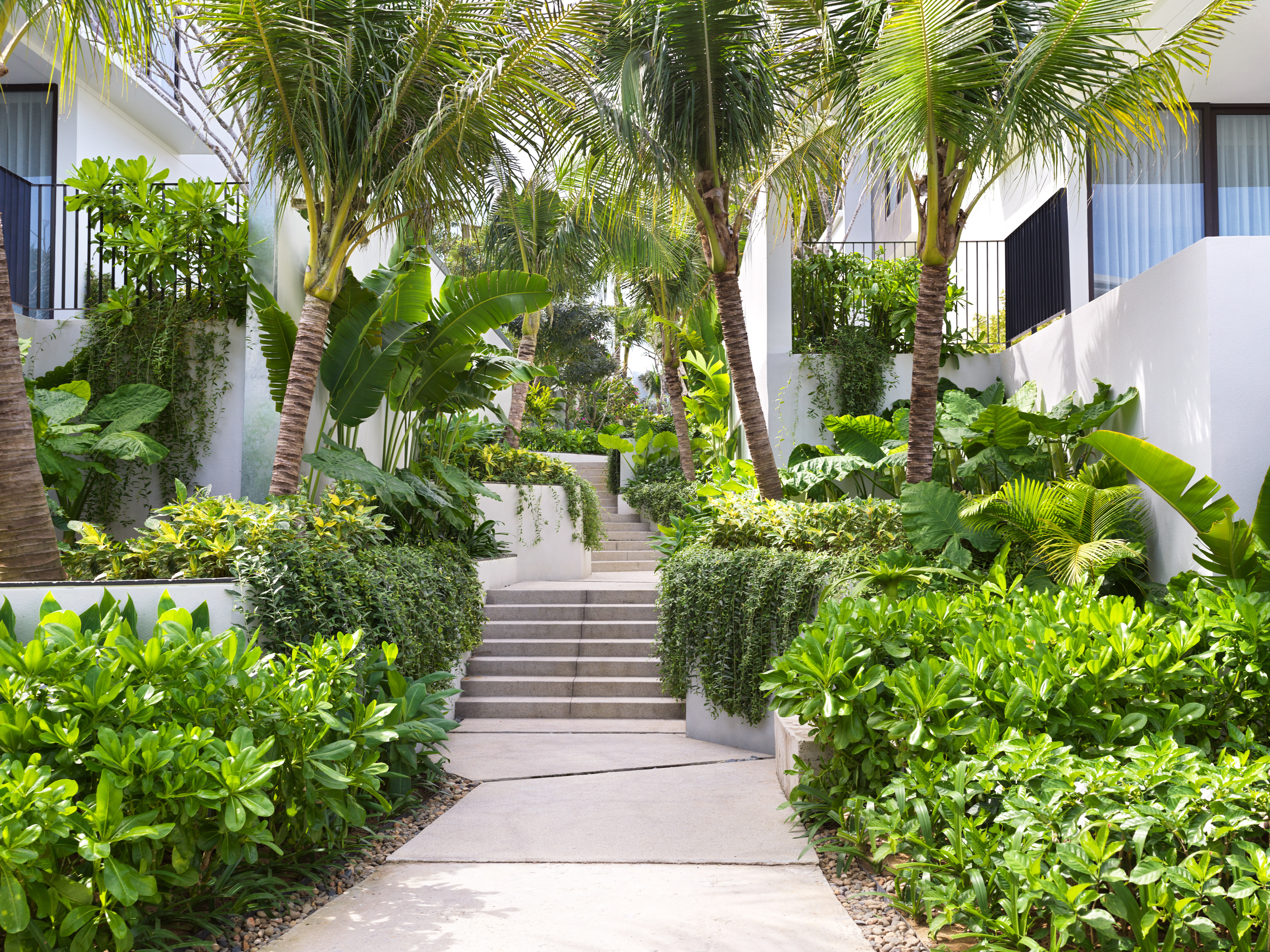 Lush tropical resort garden with palm trees, vibrant plants, and concrete stairs.