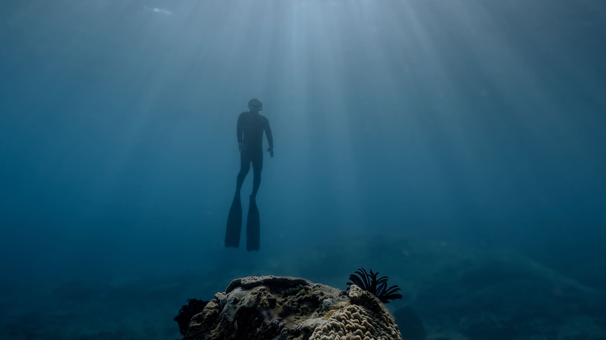 a person swimming under water