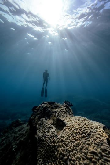 a person swimming under water