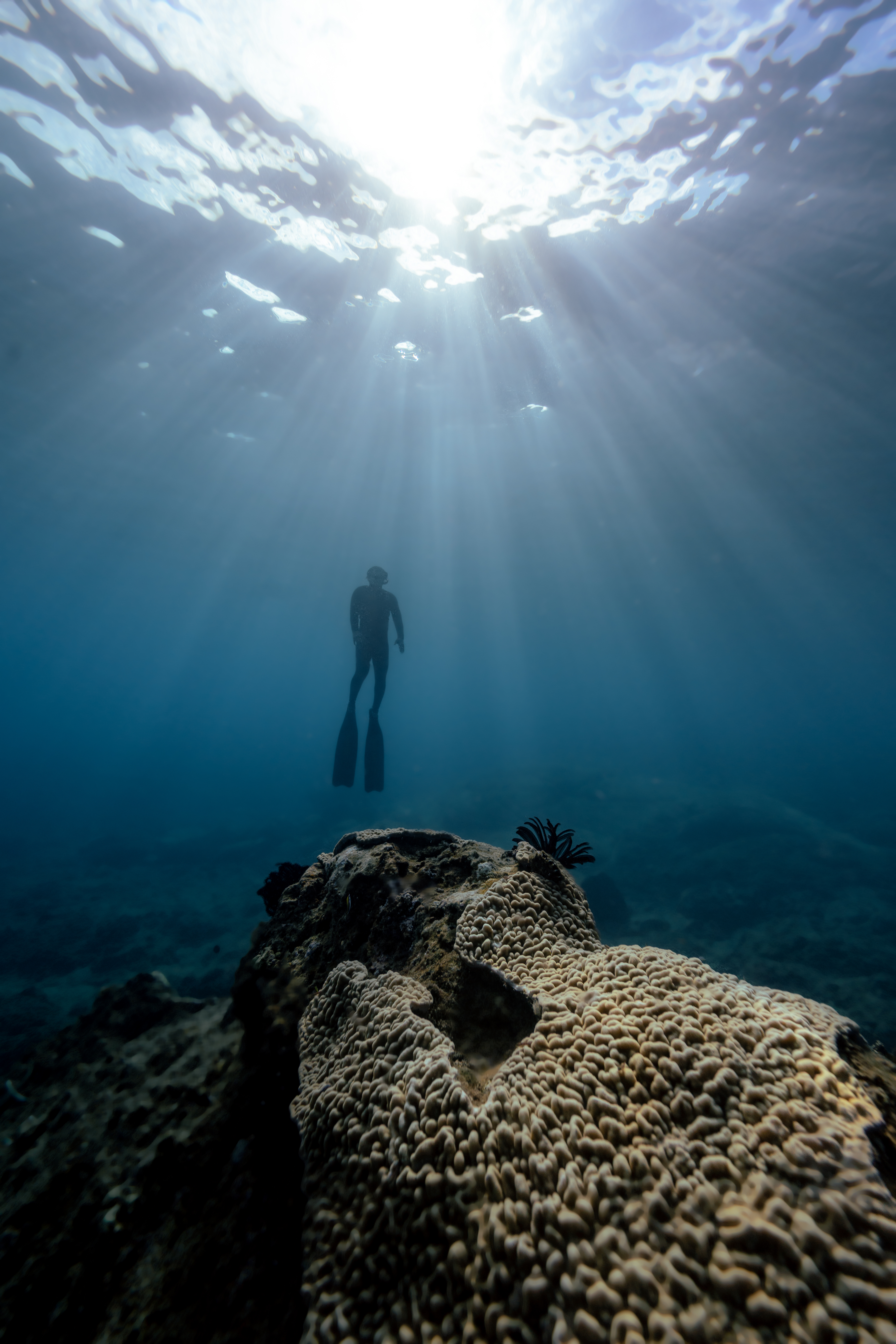 Freediver over coral reef, sunrays illuminate blue ocean depths.