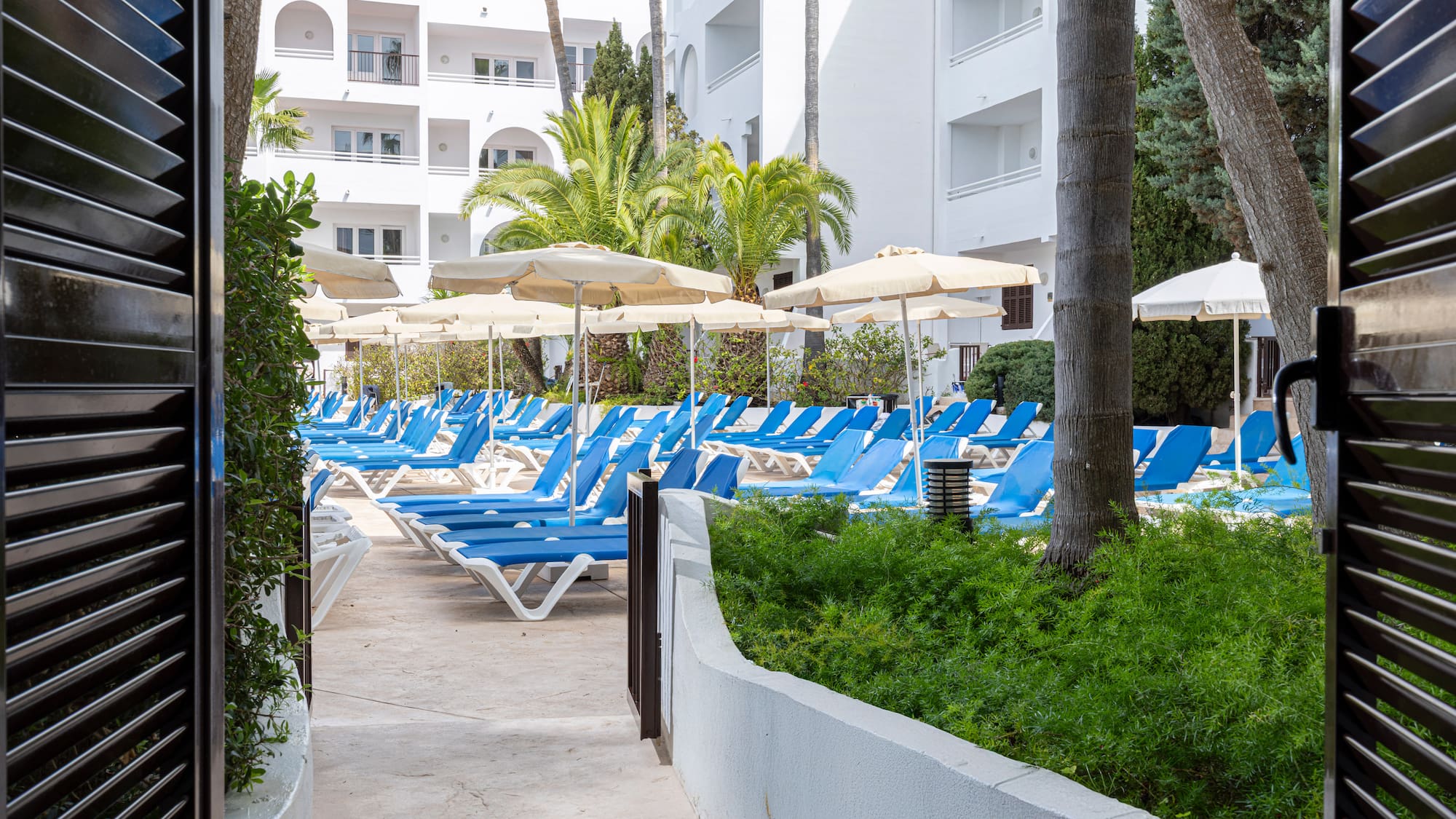 Resort pool area with blue sunbeds, parasols, palm trees, and white hotel building.