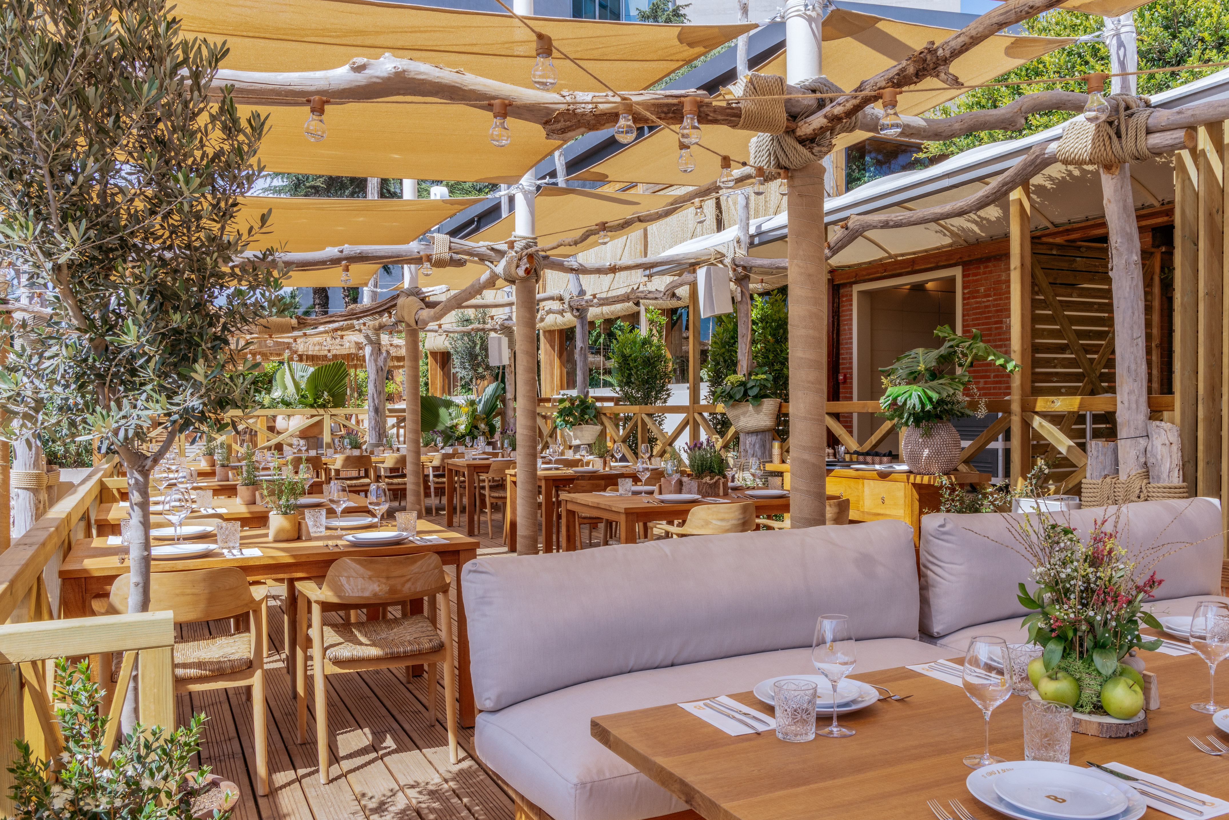 Shaded outdoor Mediterranean restaurant with rustic wooden furniture and olive trees.