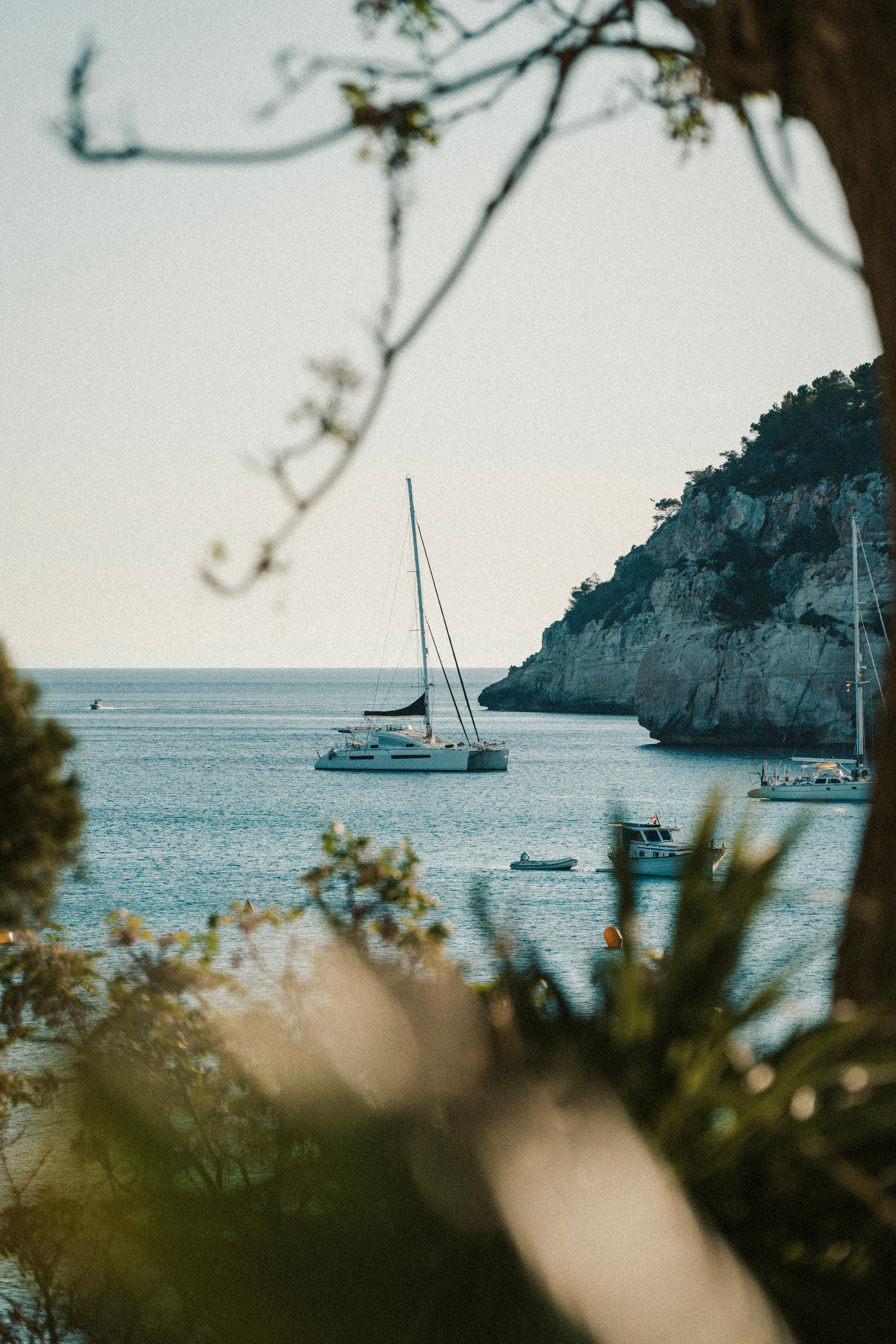Catamarán blanco en bahía mediterránea con acantilados verdes y mar azul.