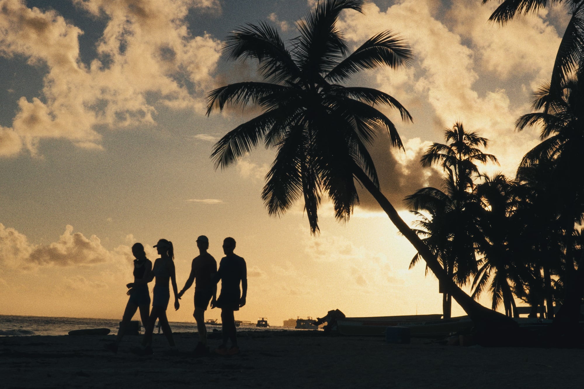 Silhouetted people walking tropical beach at sunset with palm trees and ocean.