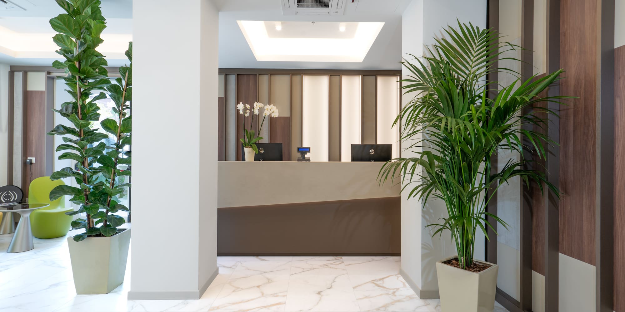 a lobby with plants in pots