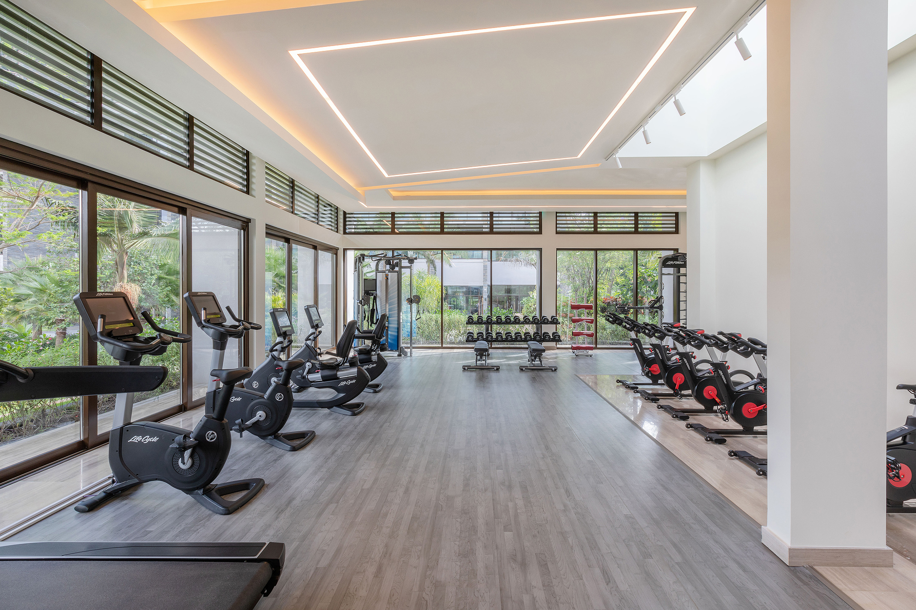 Bright modern gym with treadmills, bikes, weights, and large windows.