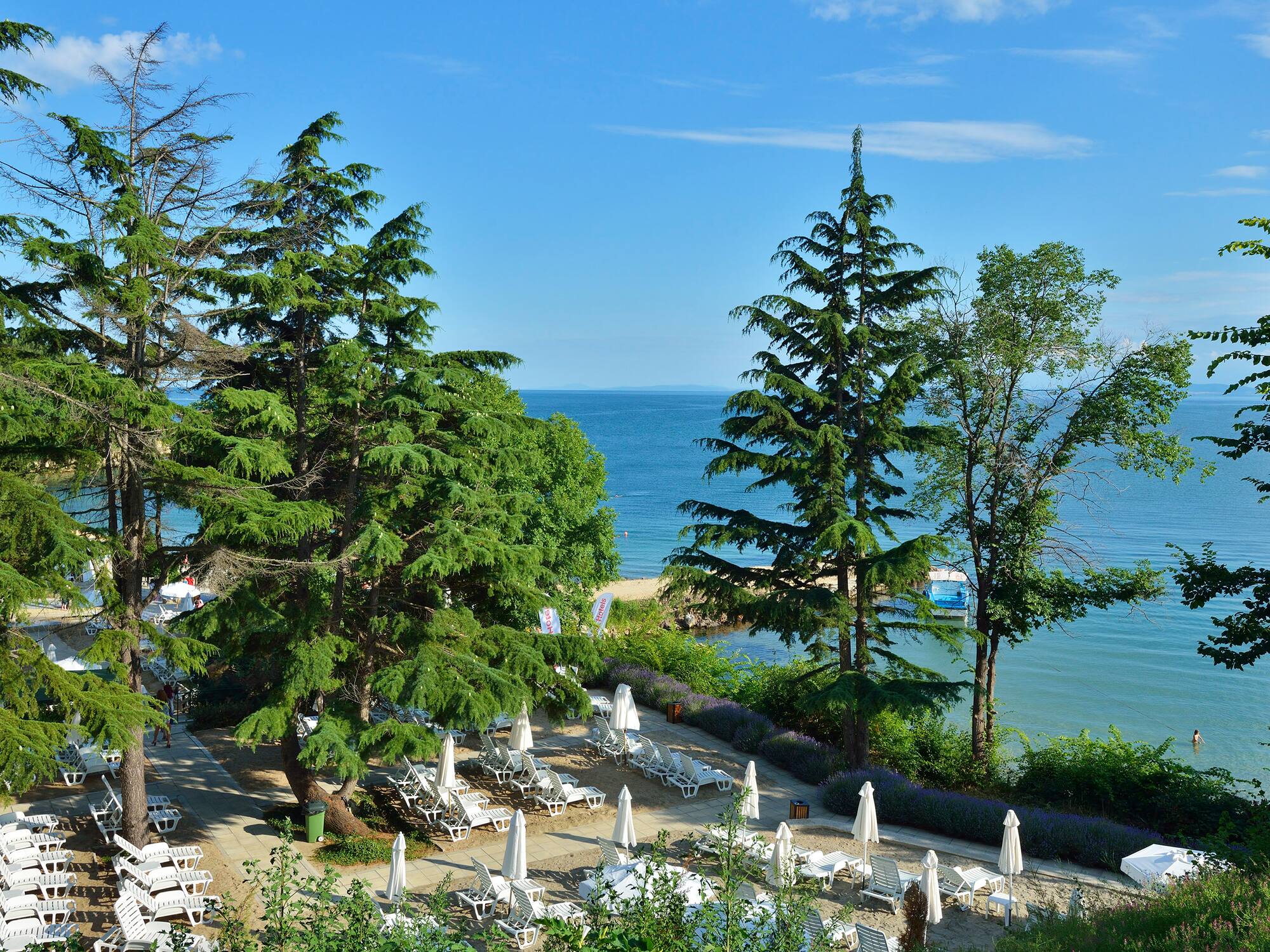 a beach with chairs and umbrellas and trees