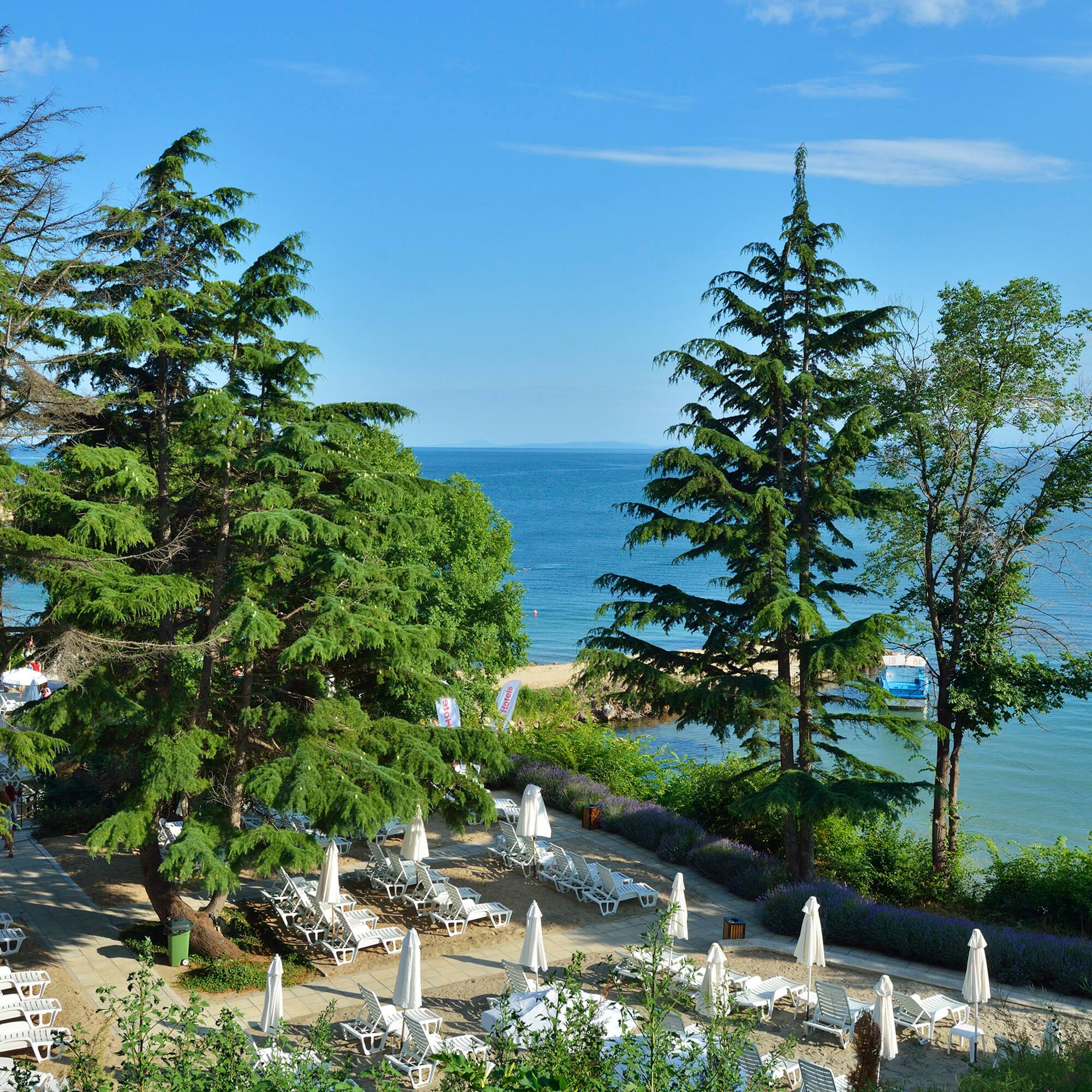 a beach with chairs and umbrellas and trees