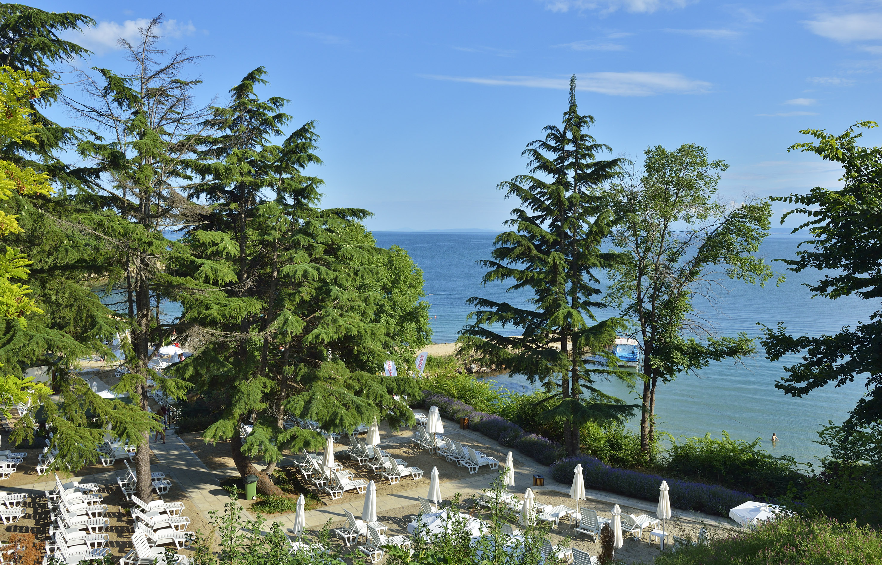 a beach with chairs and umbrellas and trees