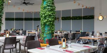 a tables and chairs in a restaurant