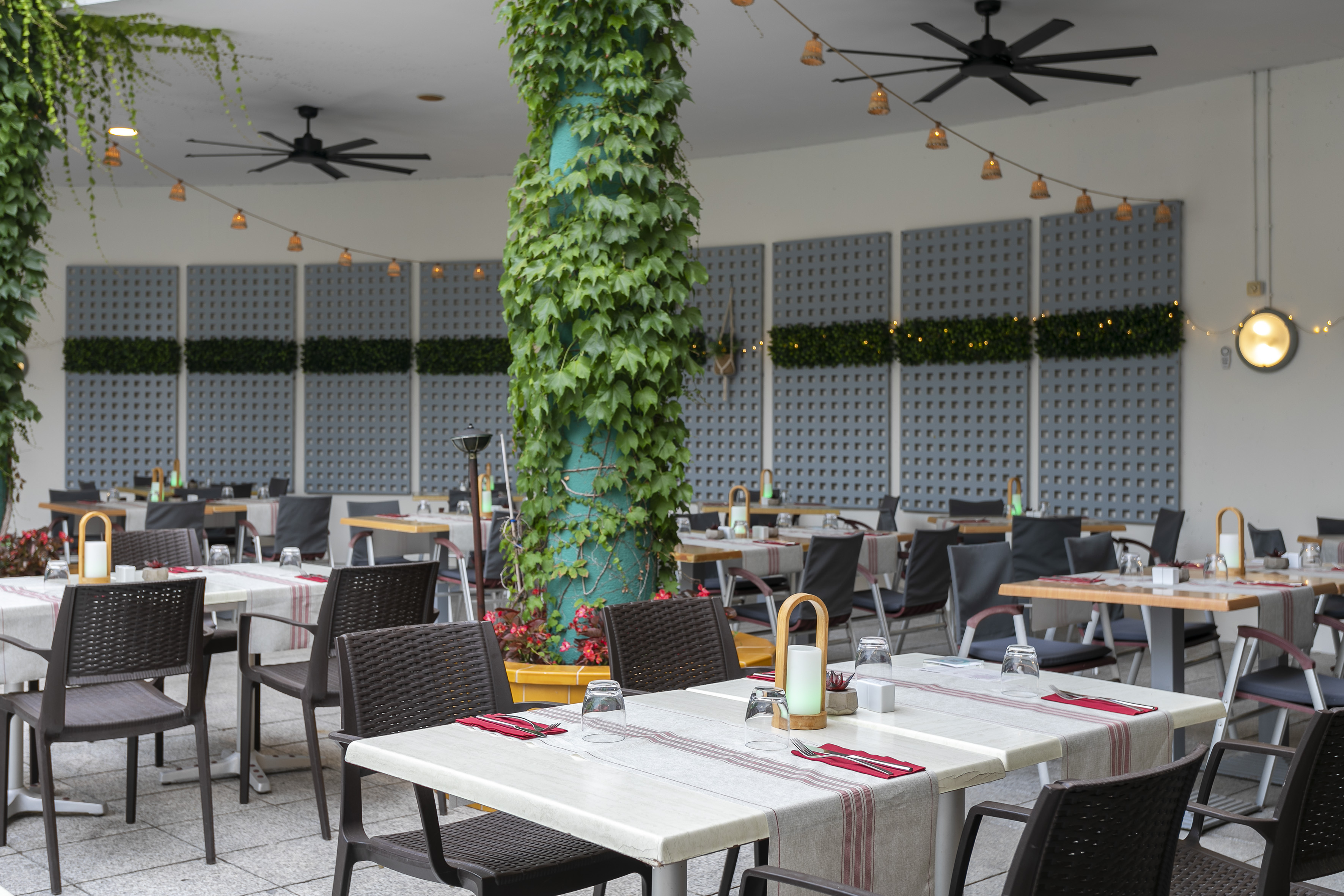 Al fresco restaurant patio with set dining tables, ivy, and string lights.