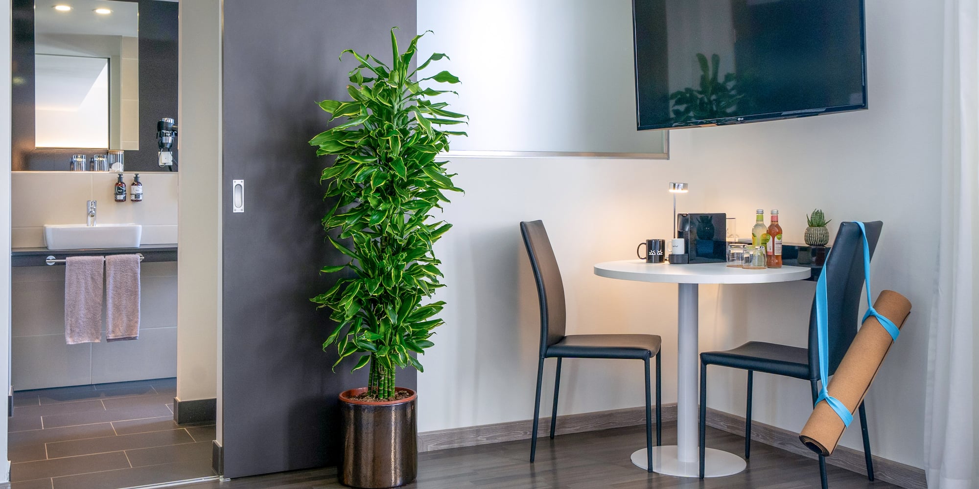 a room with a table and a tv