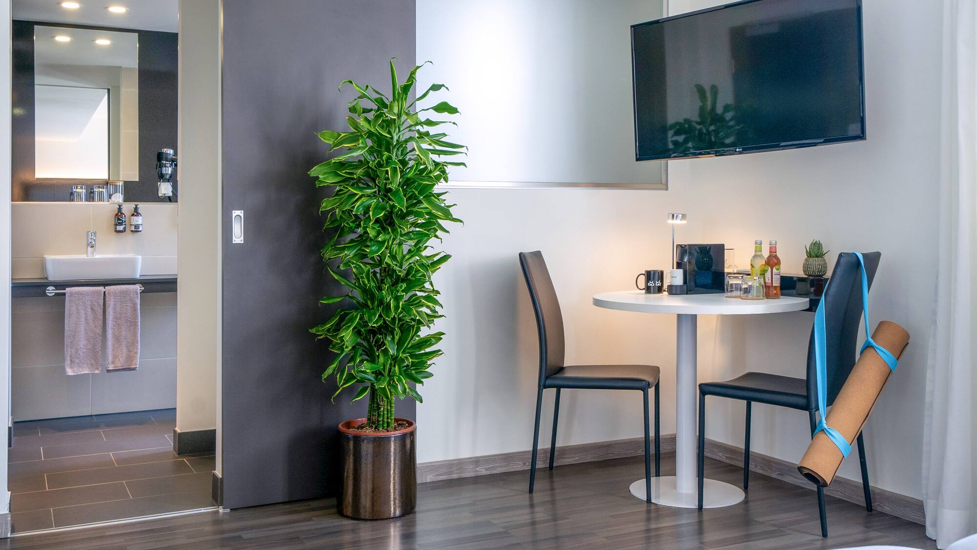 a room with a table and a tv