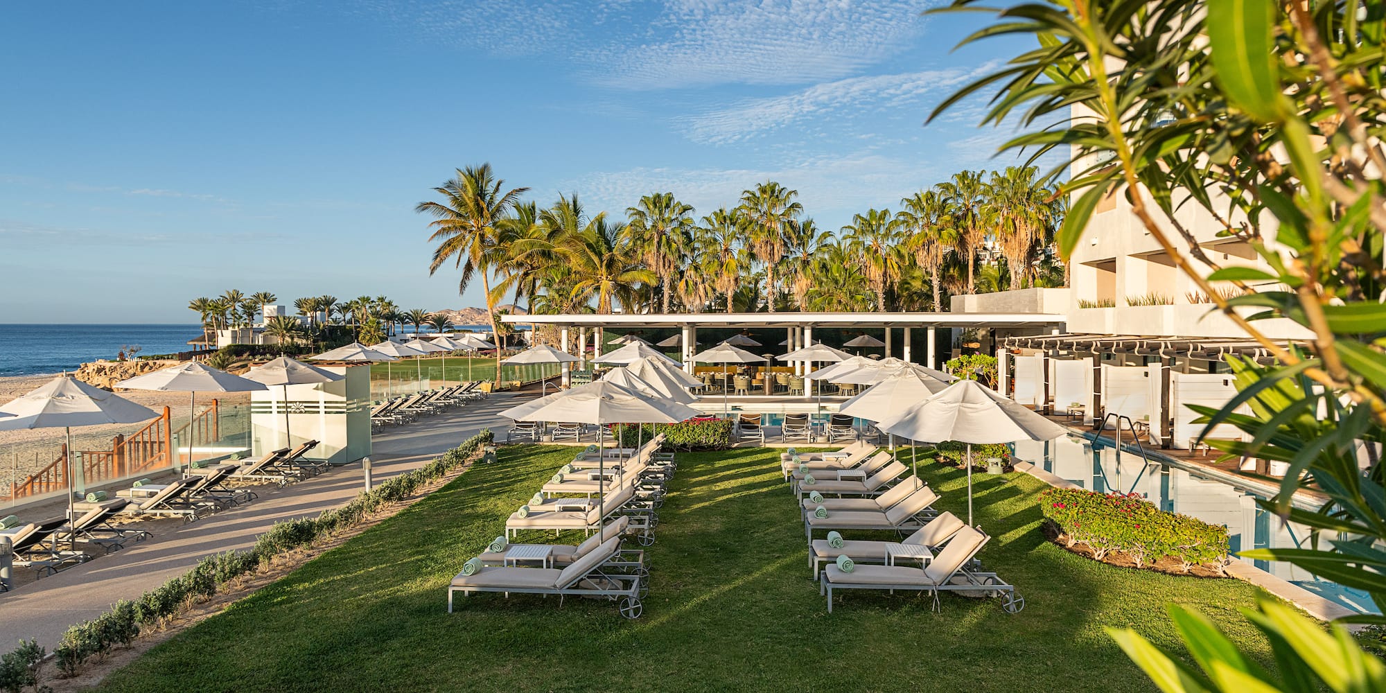 a lawn with chairs and umbrellas and a building with palm trees