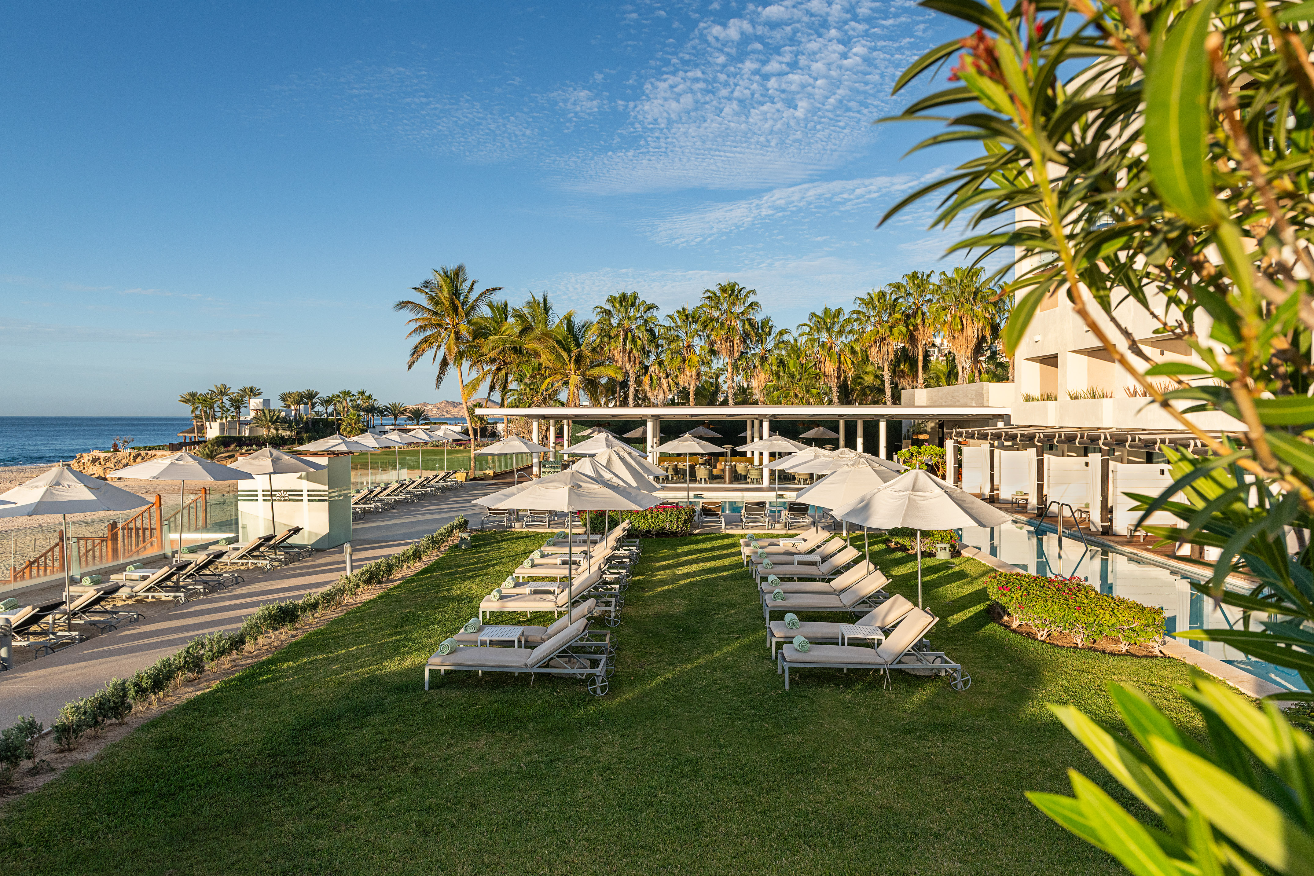 a lawn with chairs and umbrellas and a building with palm trees