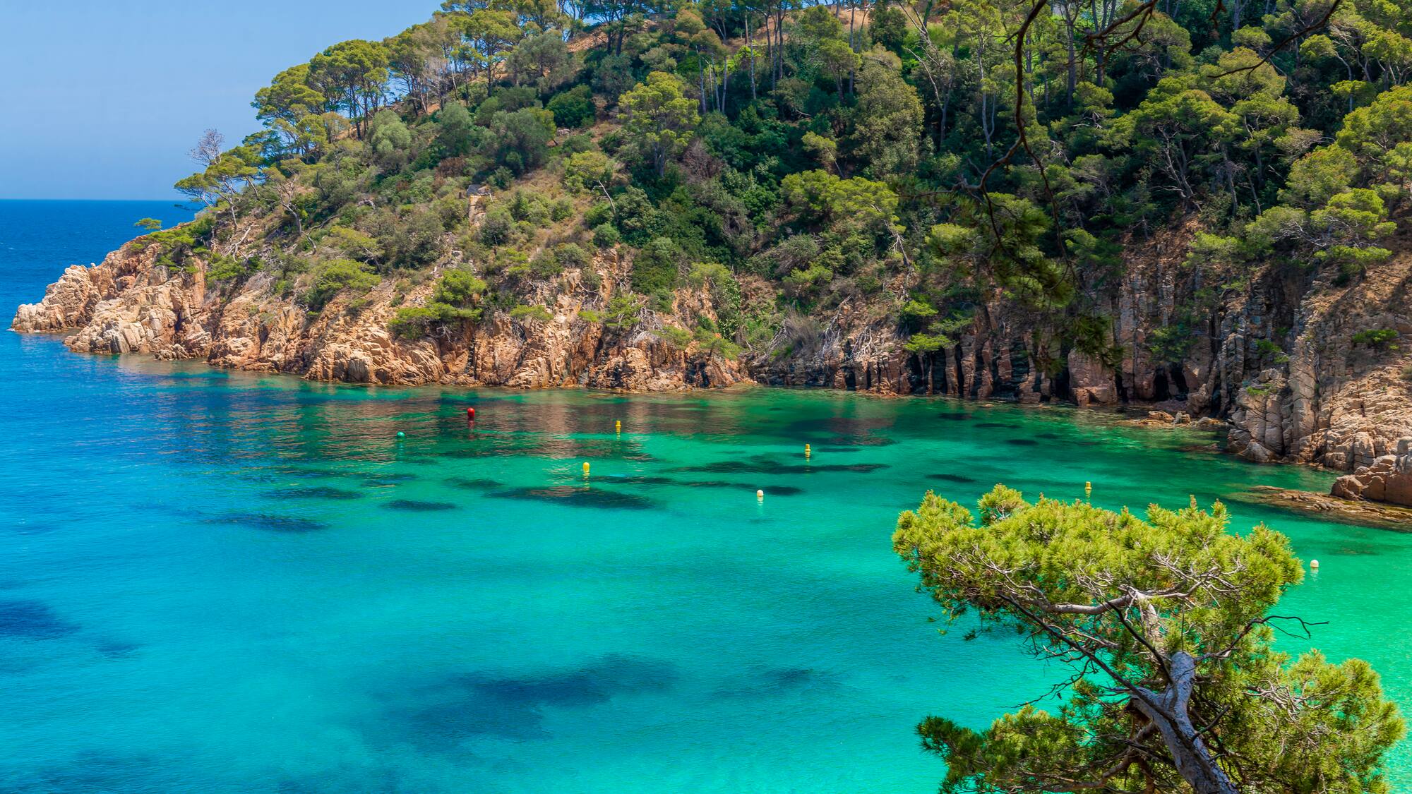 a body of water with trees and a hill