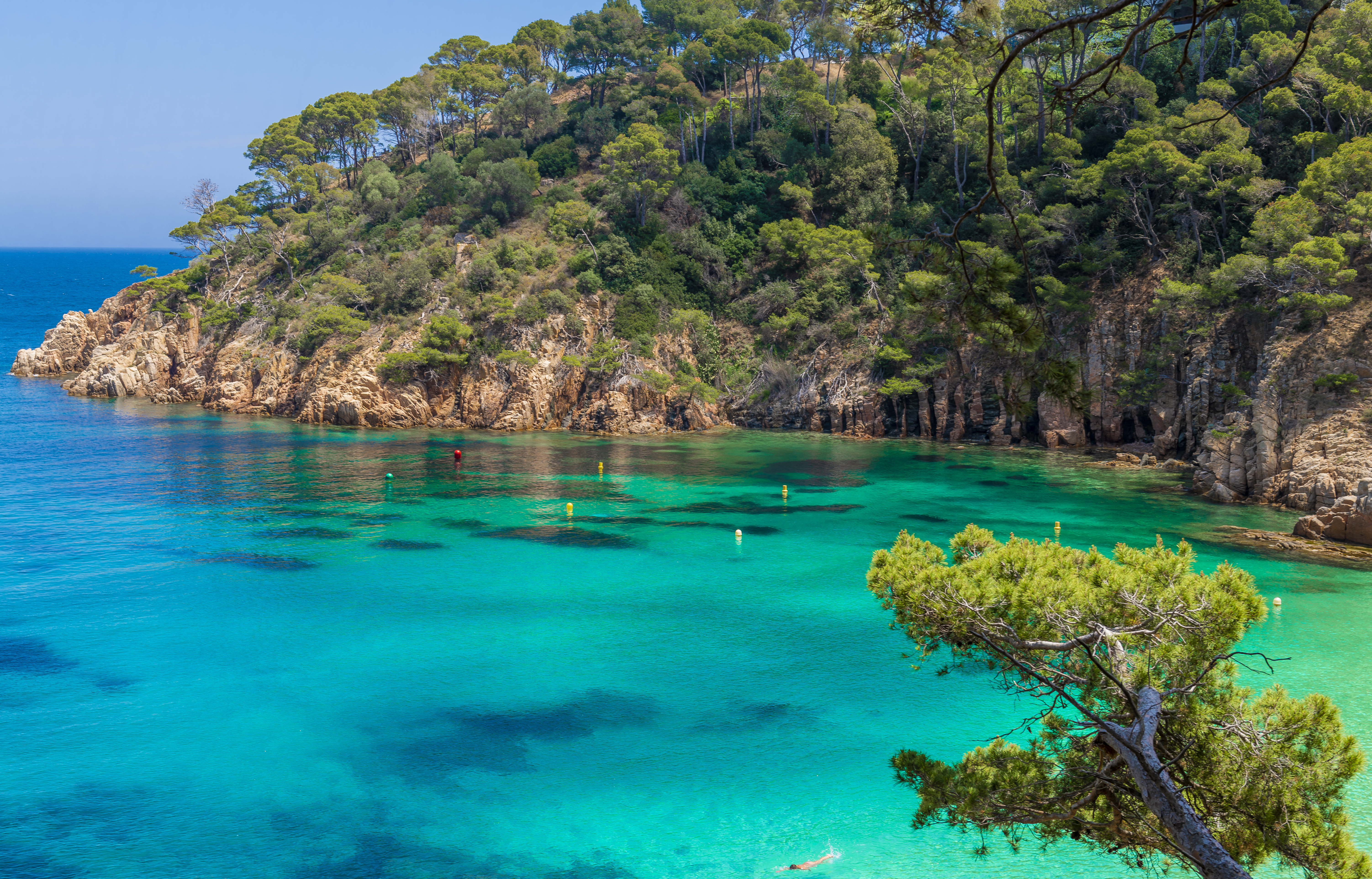 a body of water with trees and a hill