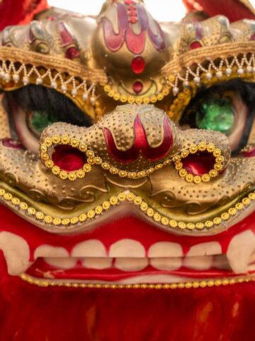 a close up of a garment