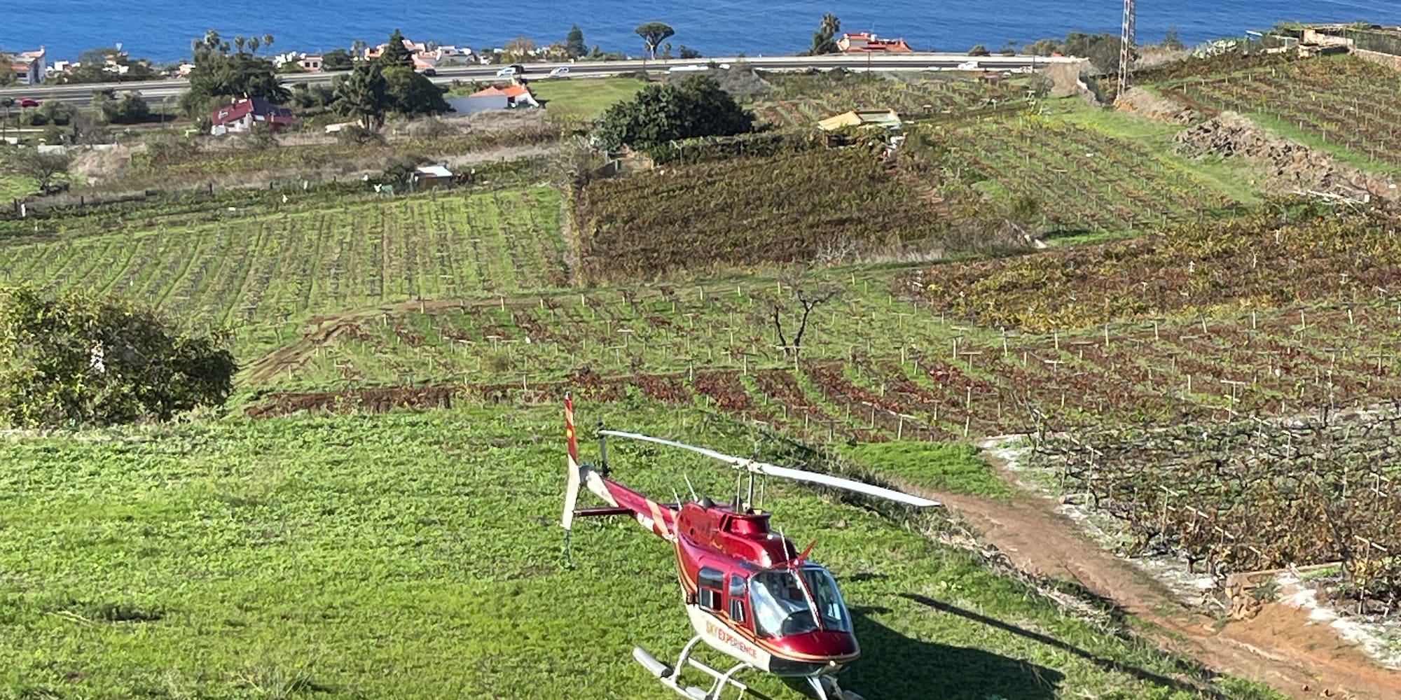 Red helicopter on grass, overlooking vineyards and blue ocean under cloudy sky.