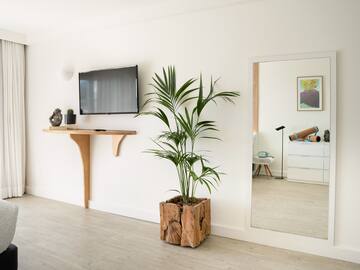 a room with a television and a plant in a pot
