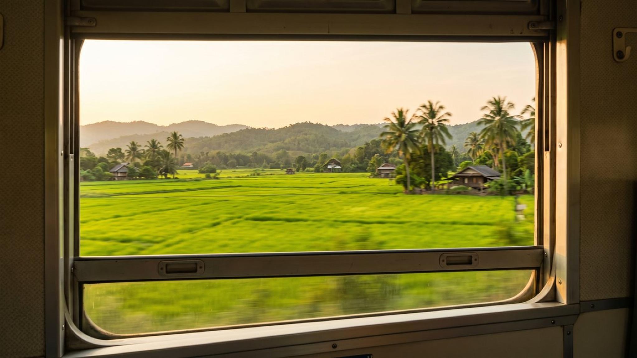 Train view: rural green rice paddies, palm trees, houses, and distant mountains.