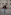 Woman in red faux fur coat, jeans, coffee, sunglasses, walking city street.