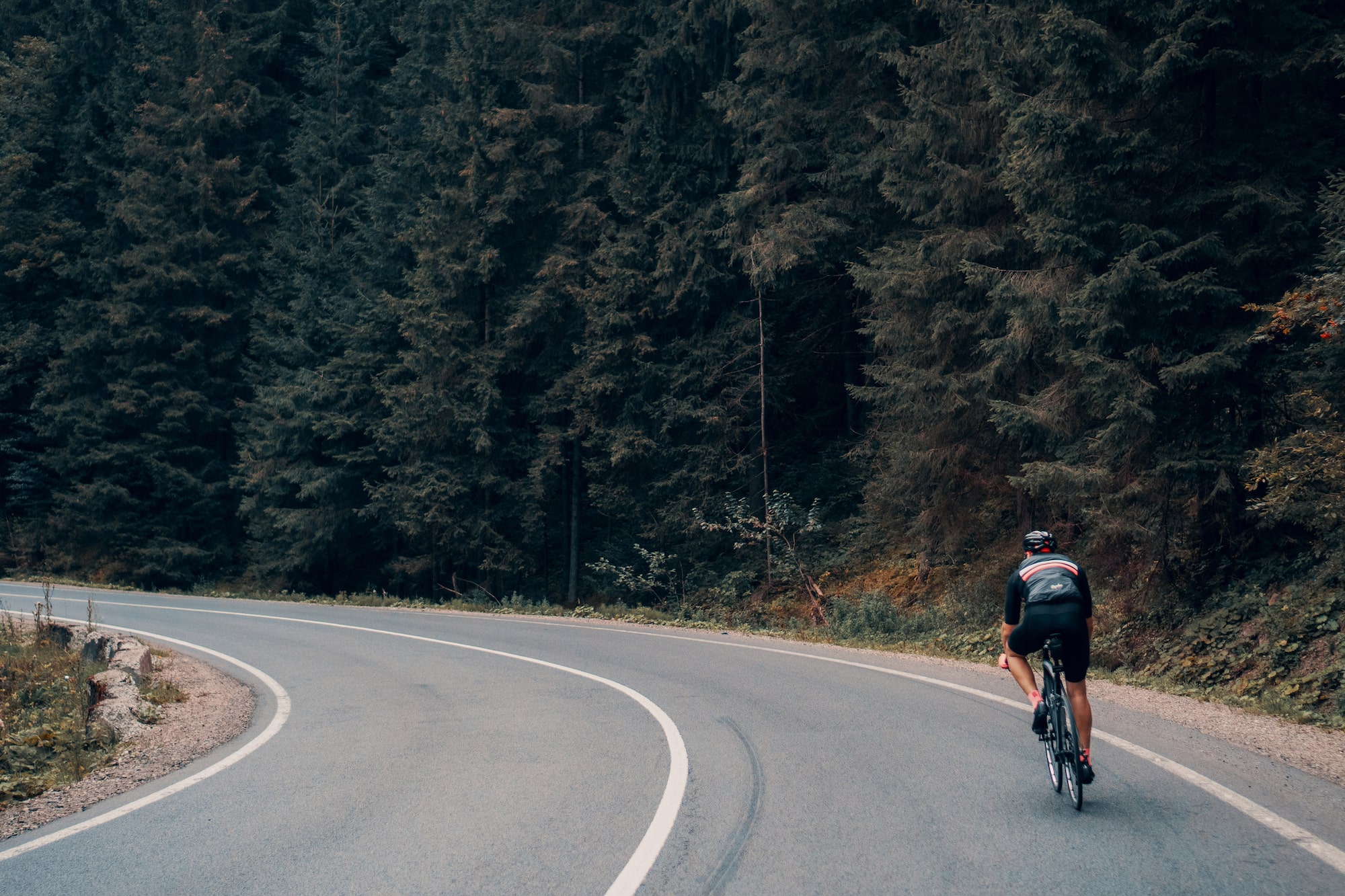 Ciclista en carretera sinuosa de montaña, rodeada de denso bosque.