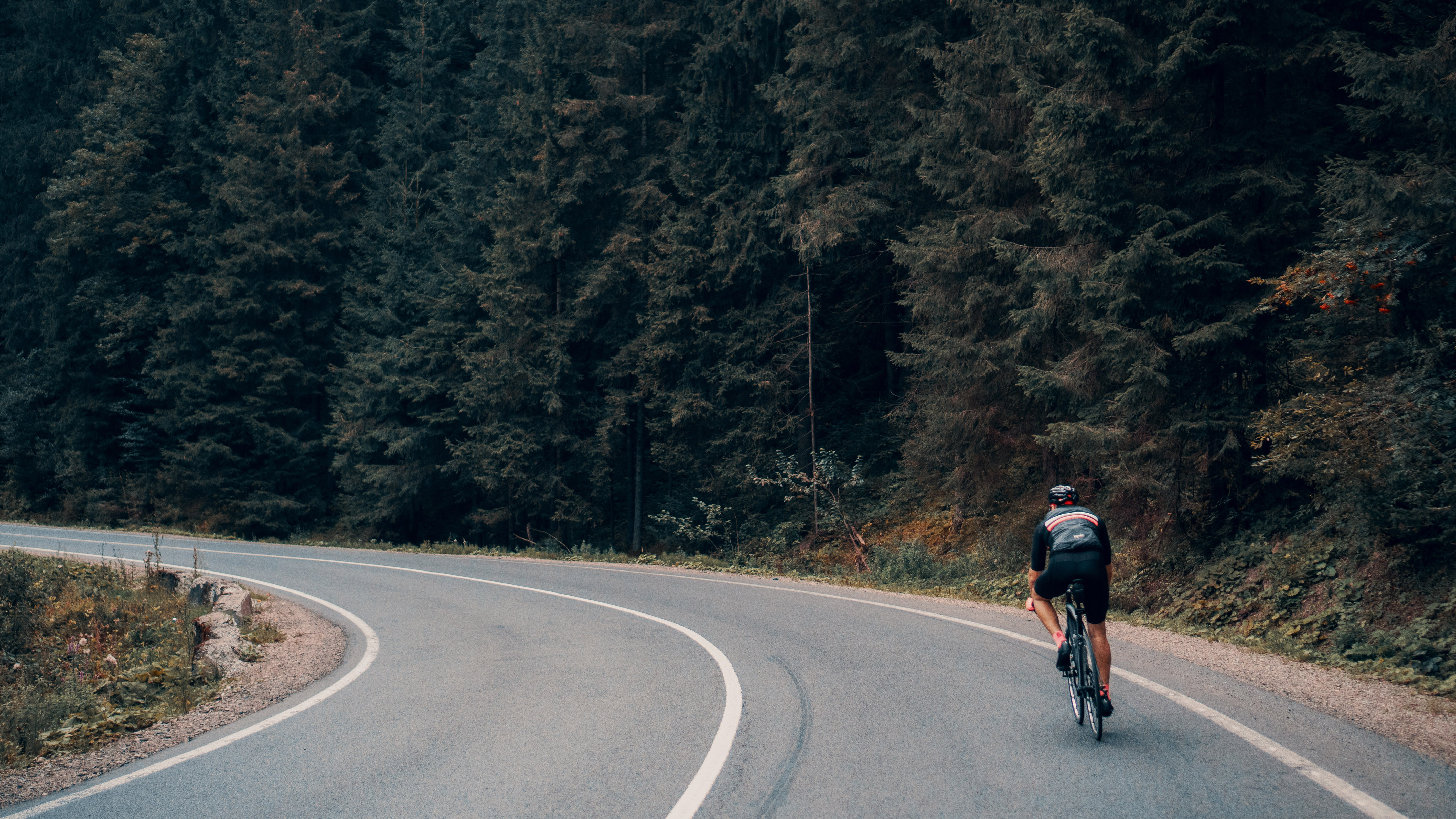 Ciclista en carretera sinuosa de montaña, rodeada de denso bosque.