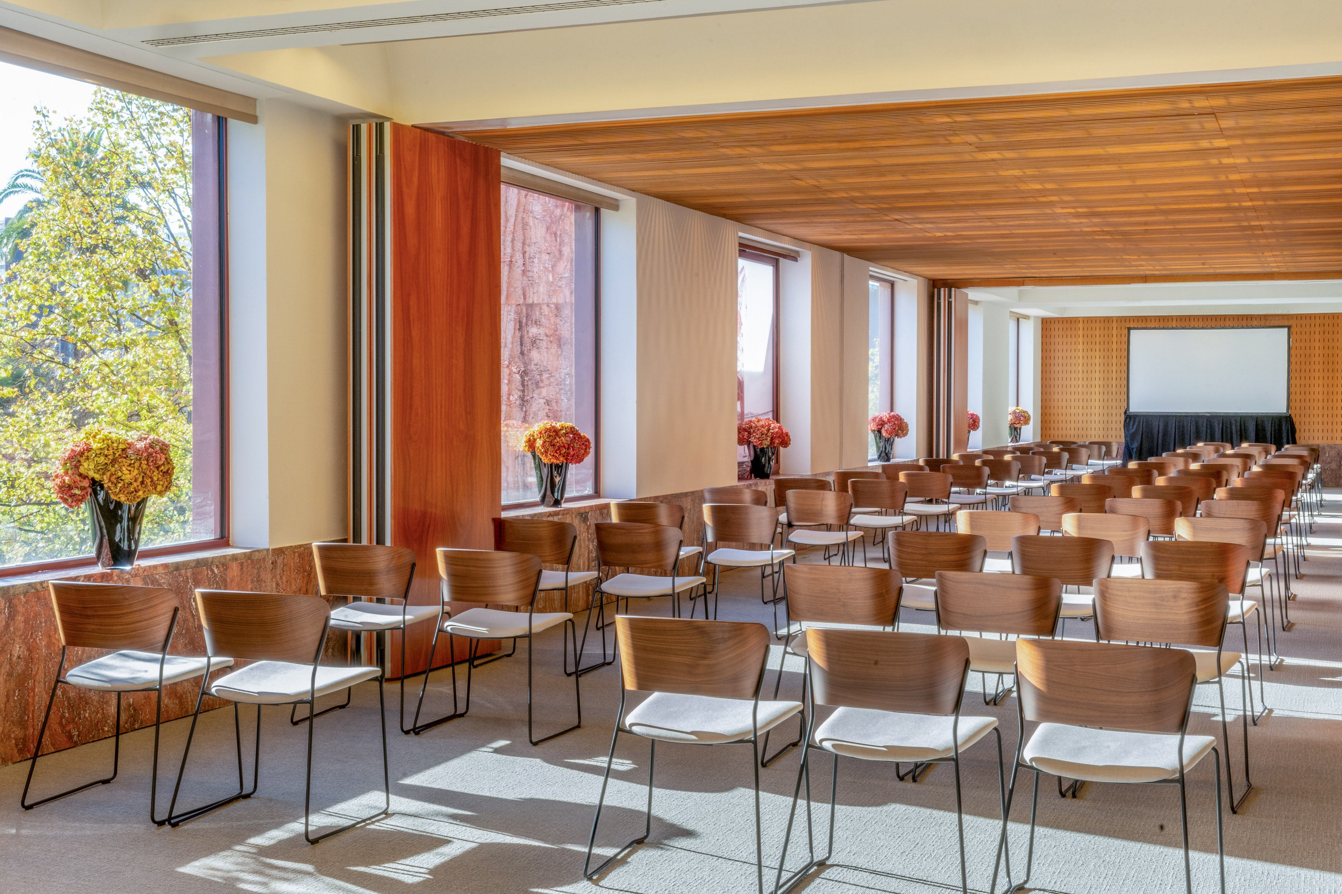 Modern conference room with rows of chairs, natural light, and projection screen.