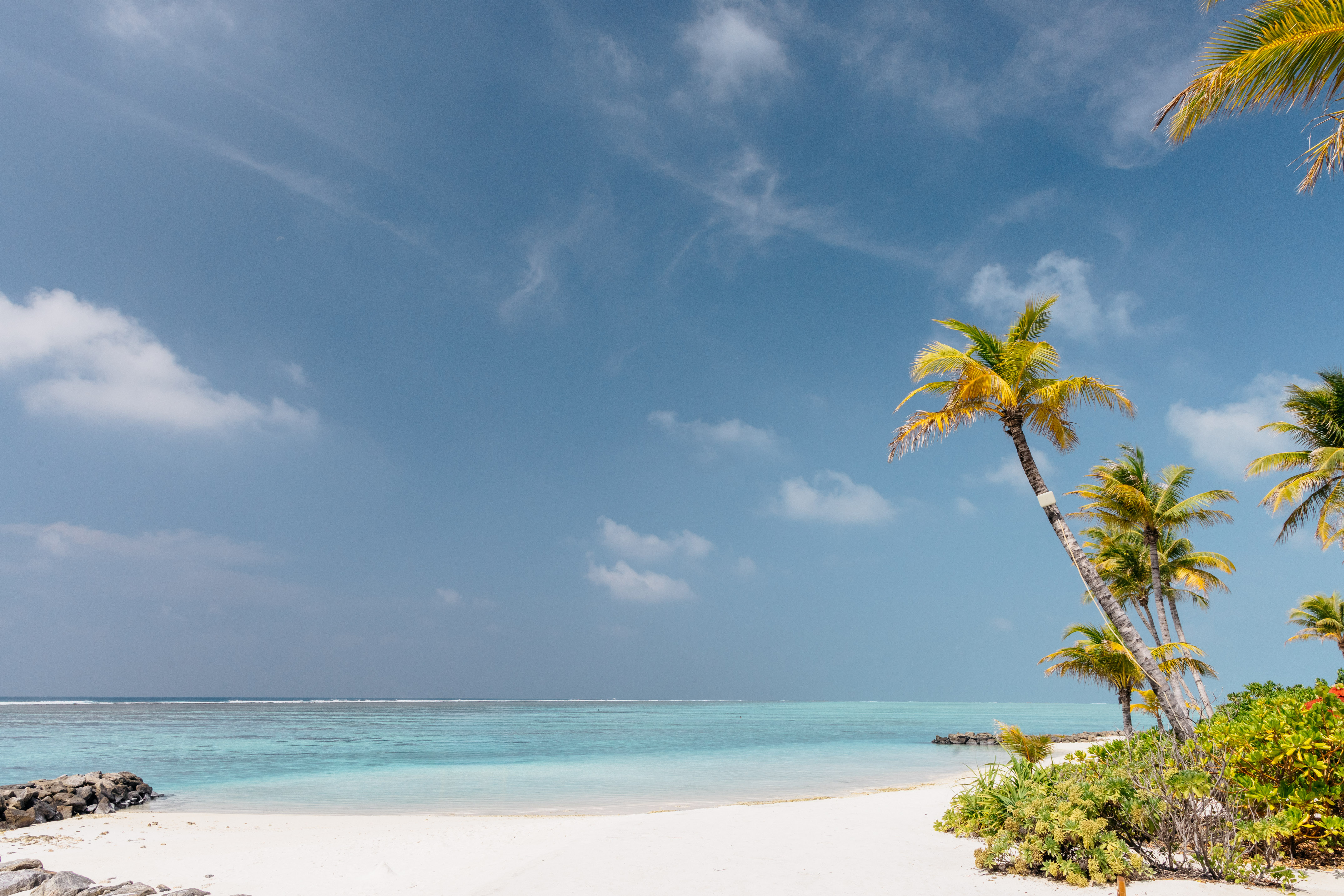 White sand beach with turquoise ocean, leaning palm trees, and clear blue sky.