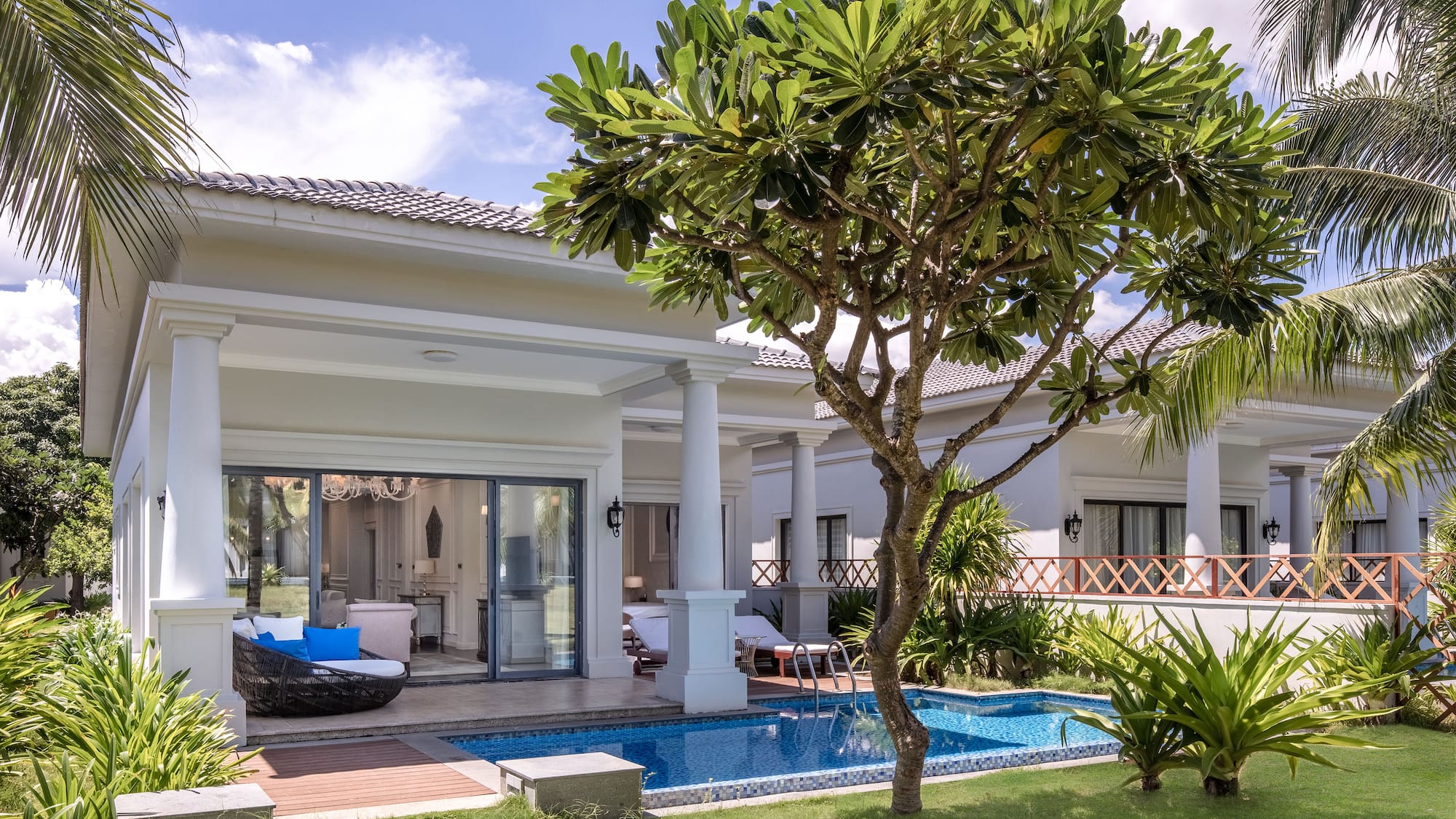 a house with a pool and a tree