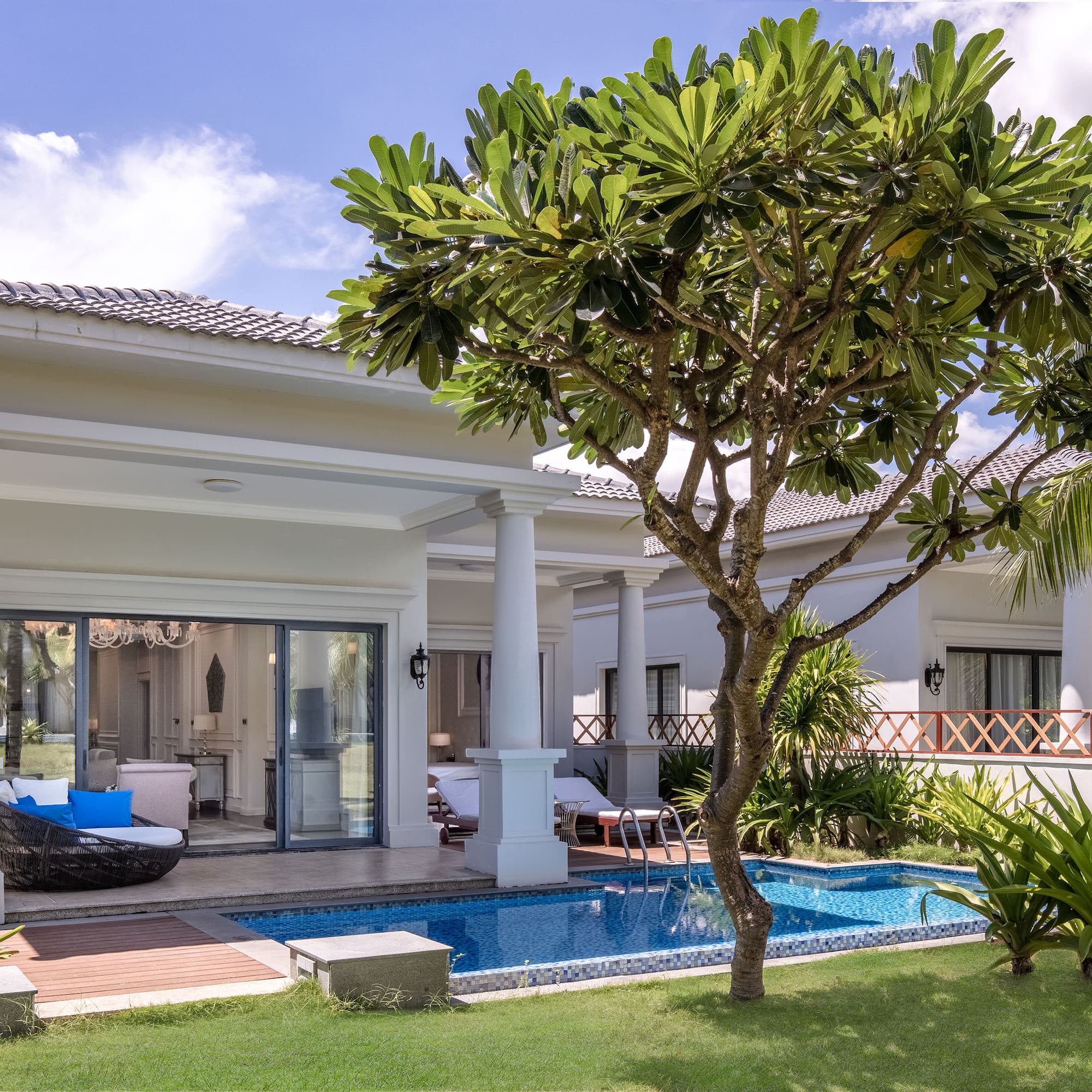 a house with a pool and a tree