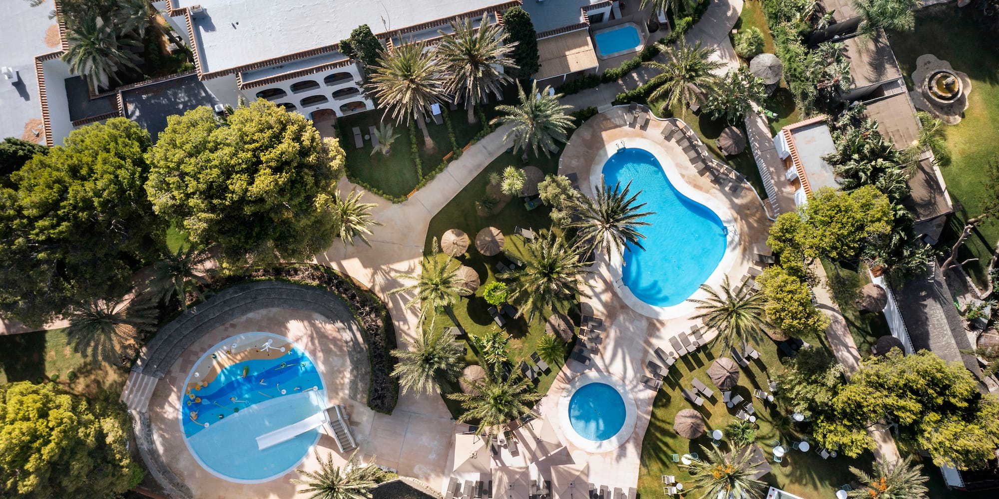 a pool and trees around it