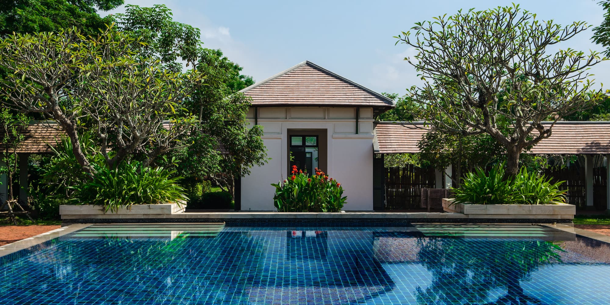 a pool with trees around it