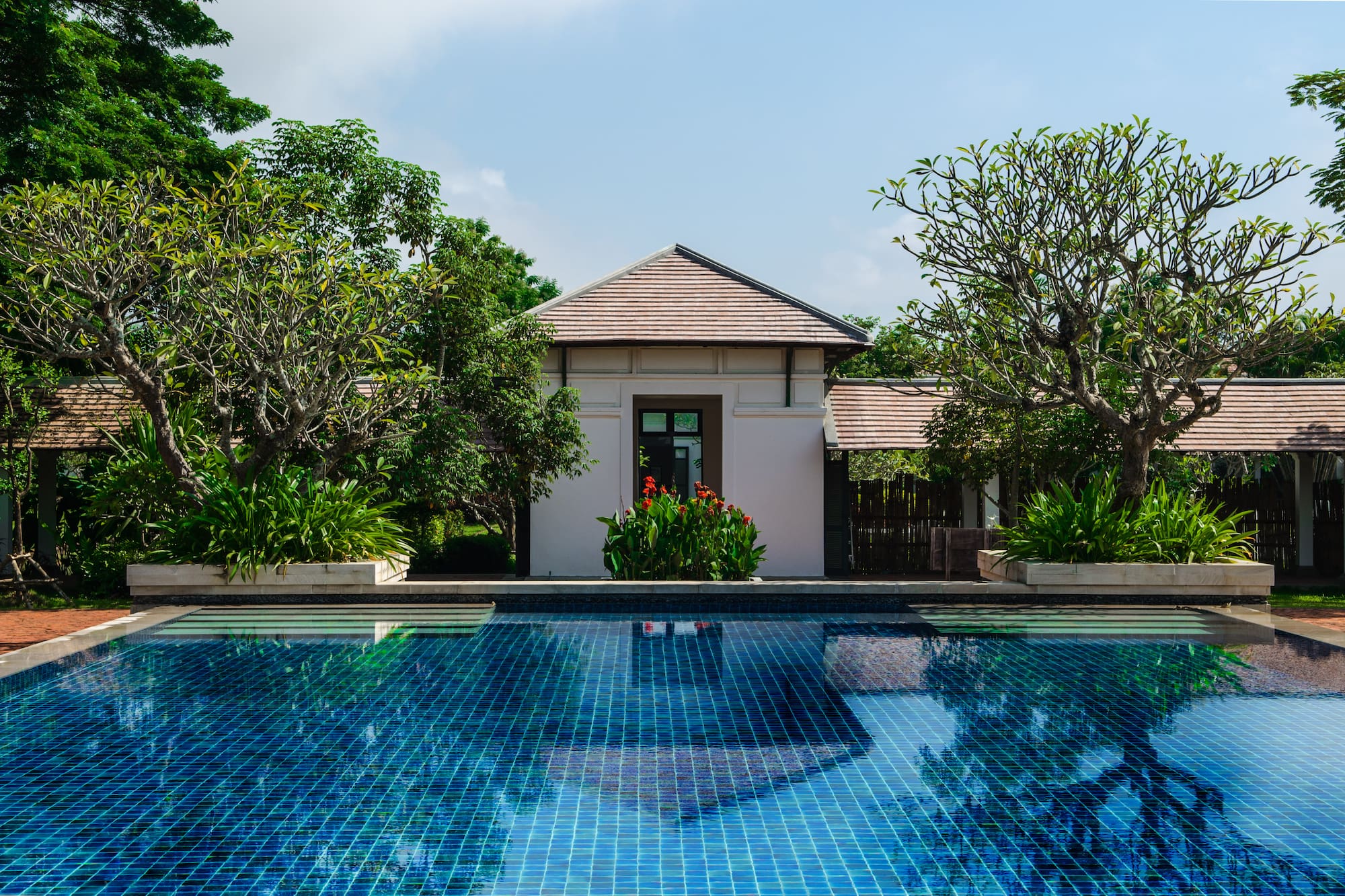 a pool with trees around it