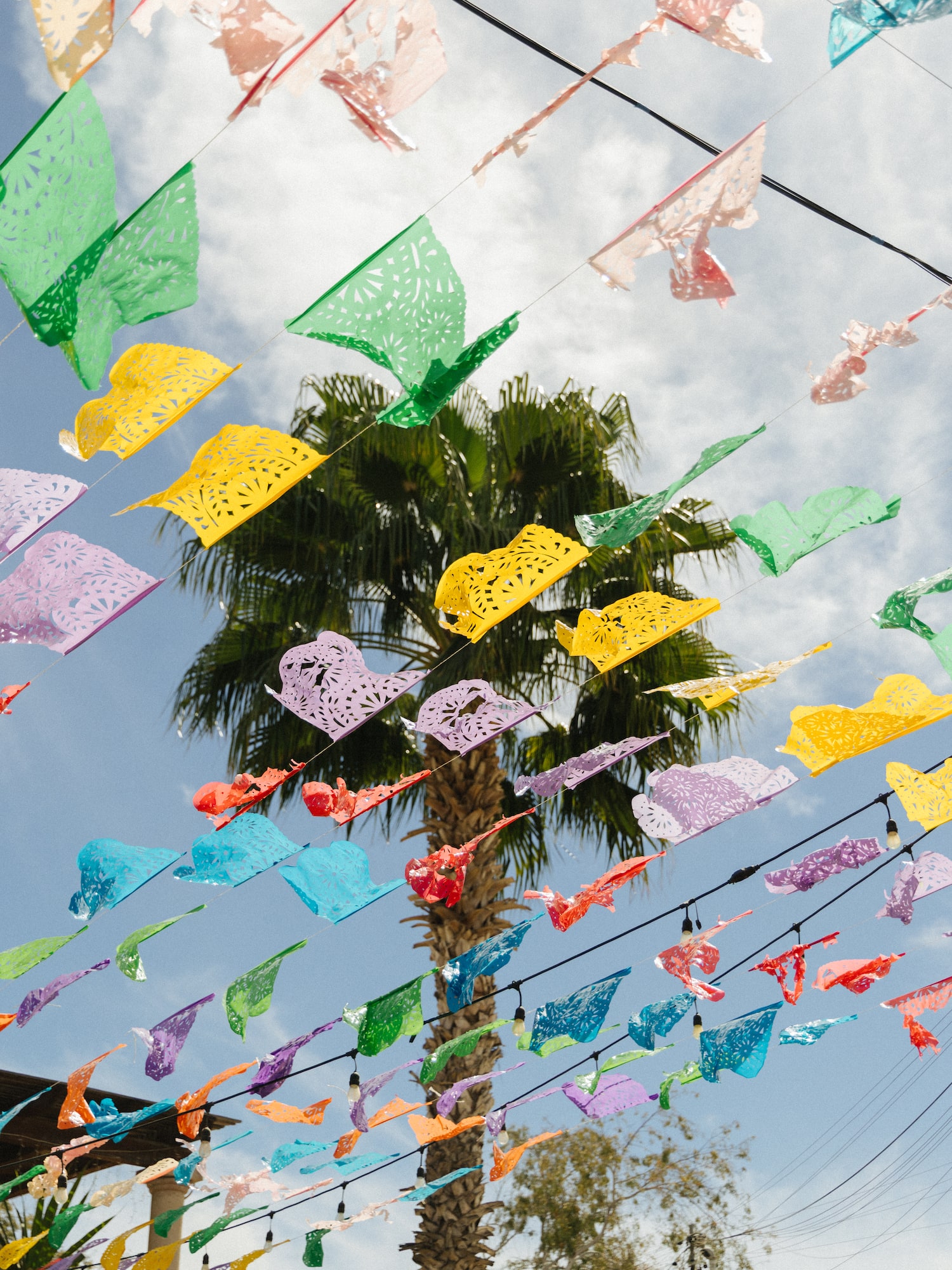 a colorful flags from wires